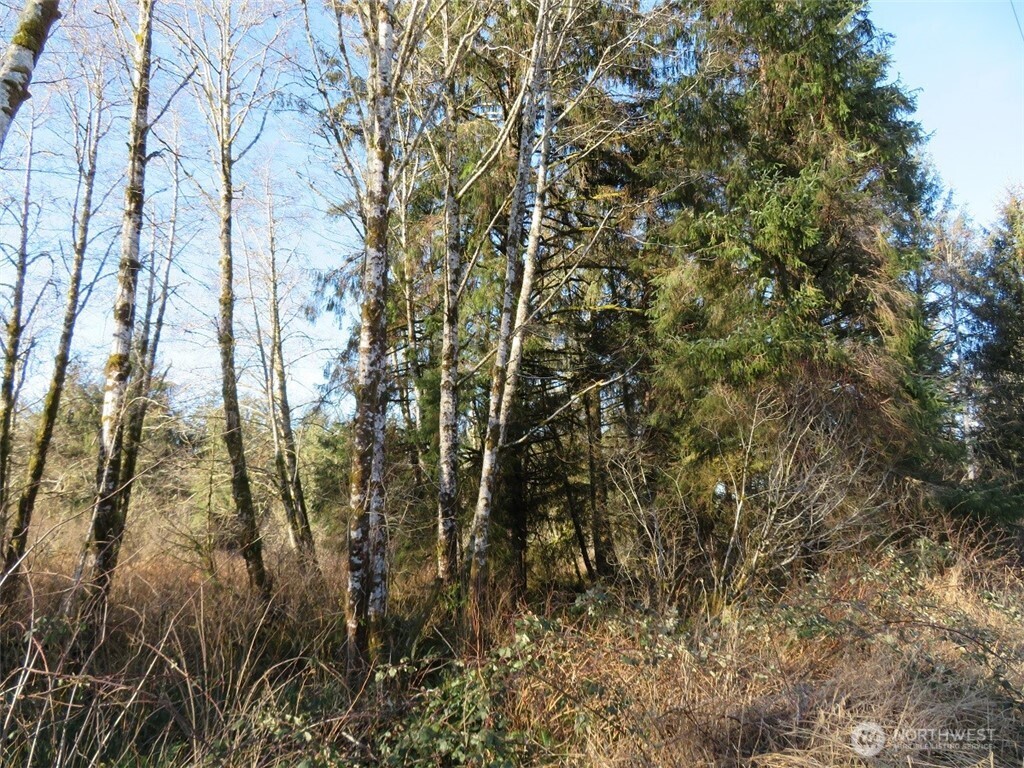 1478 Xxx E Hoquiam Road Property Photo 12