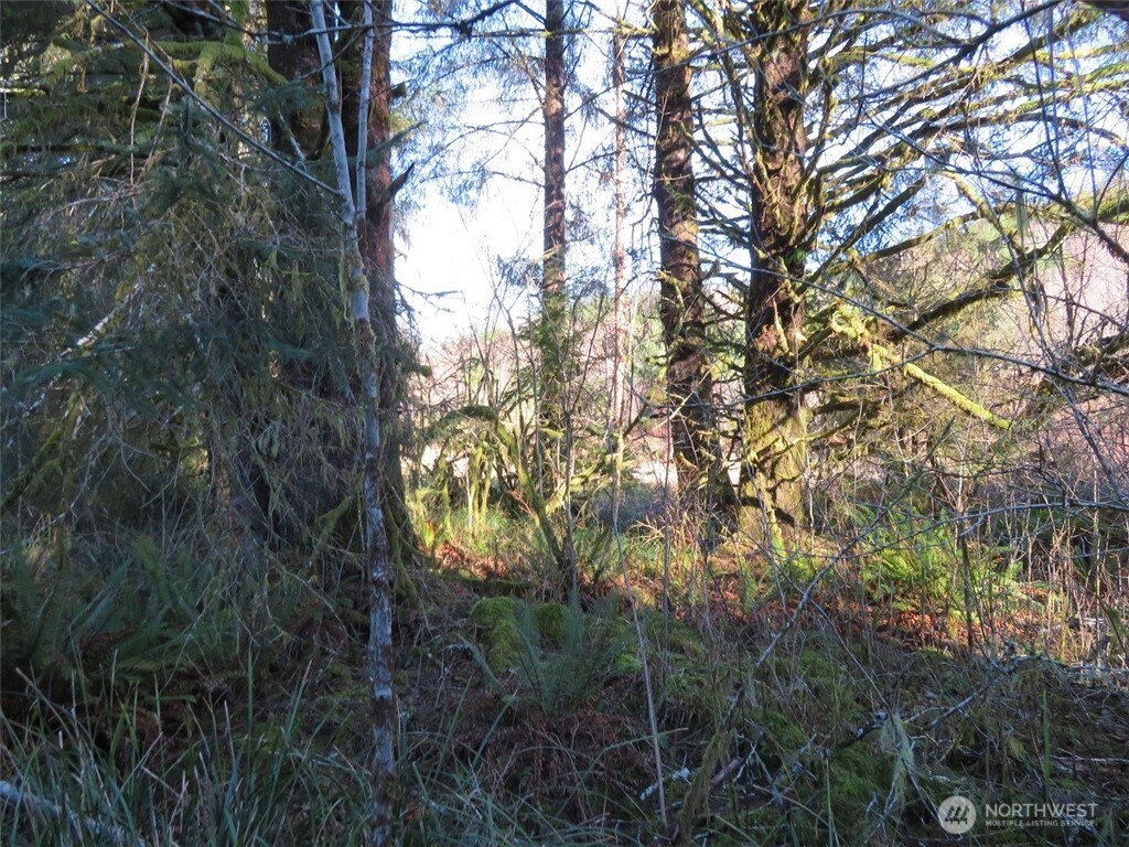 1478 Xxx E Hoquiam Road Property Photo 14