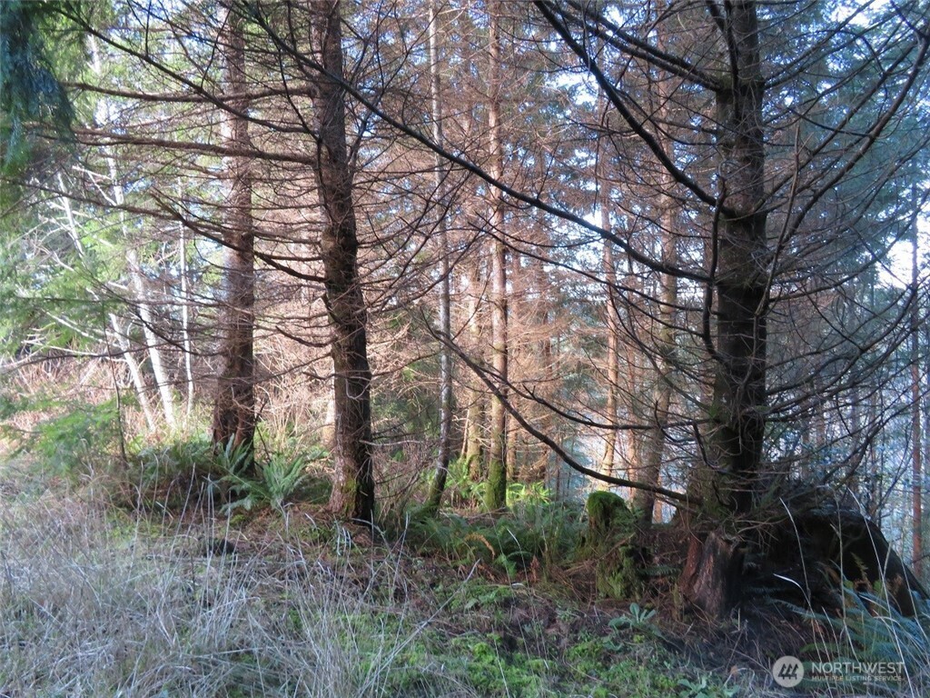 1478 Xxx E Hoquiam Road Property Photo 15