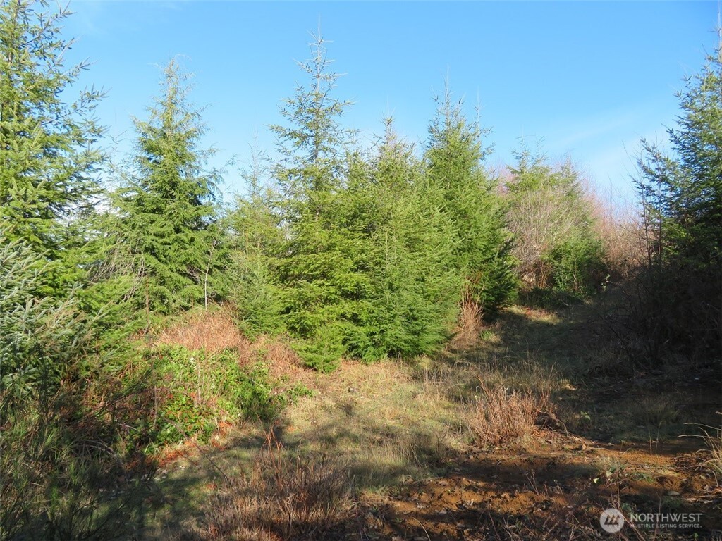 1478 Xxx E Hoquiam Road Property Photo 17