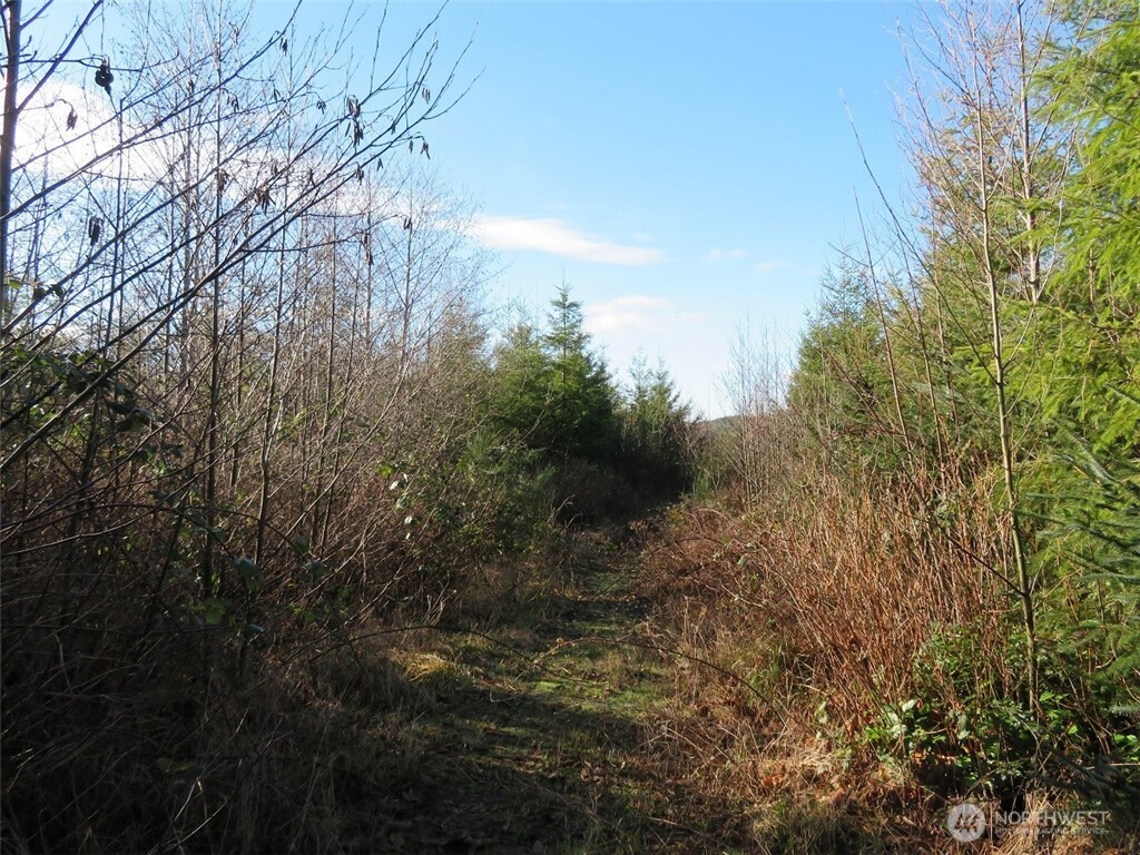 1478 Xxx E Hoquiam Road Property Photo 18