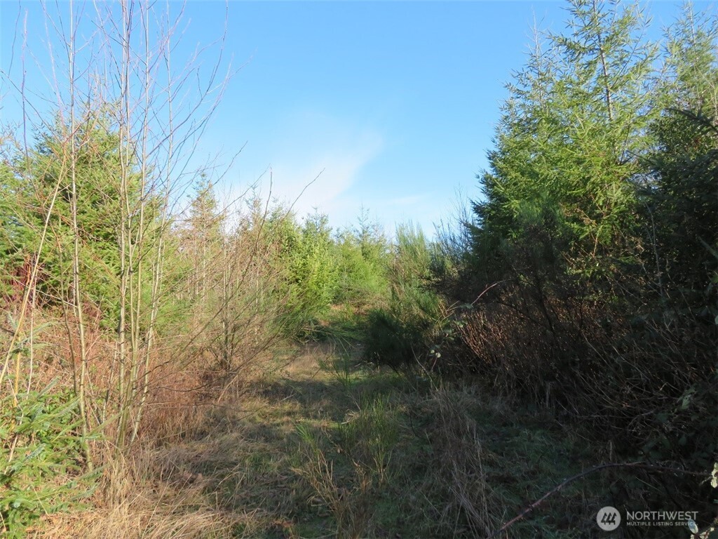 1478 Xxx E Hoquiam Road Property Photo 21