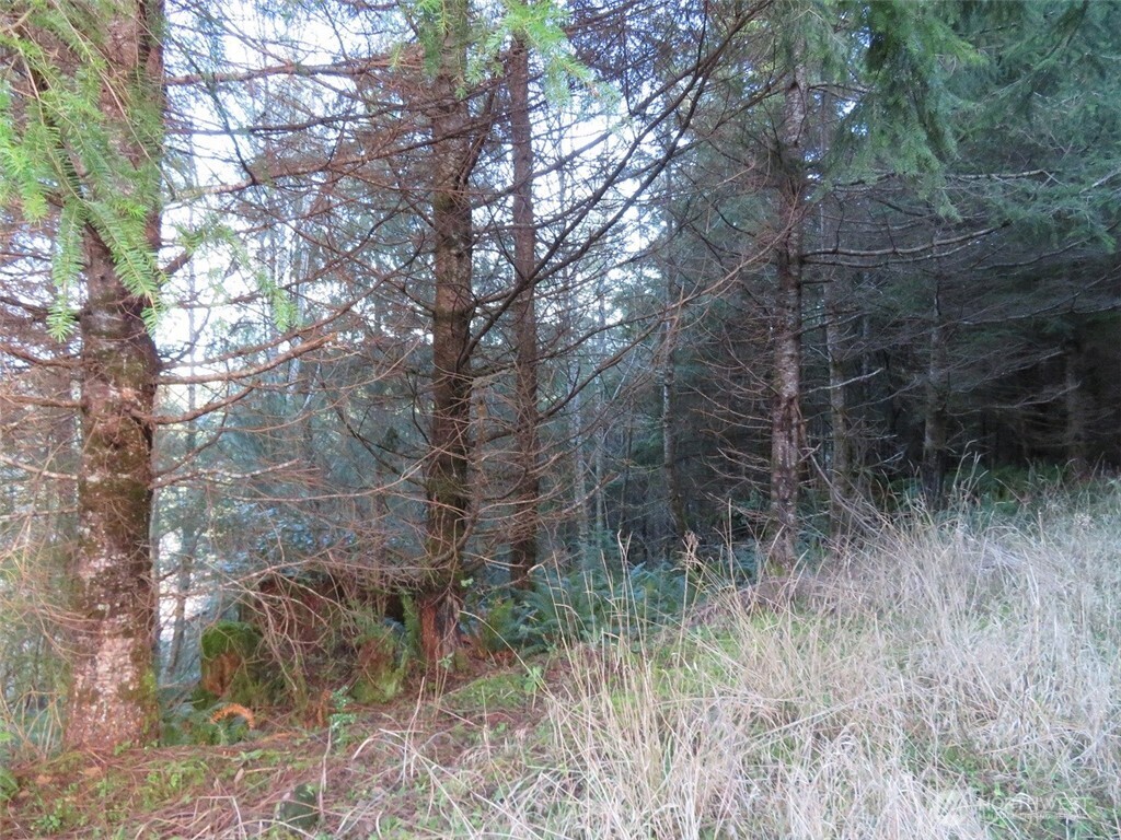 1478 Xxx E Hoquiam Road Property Photo 22