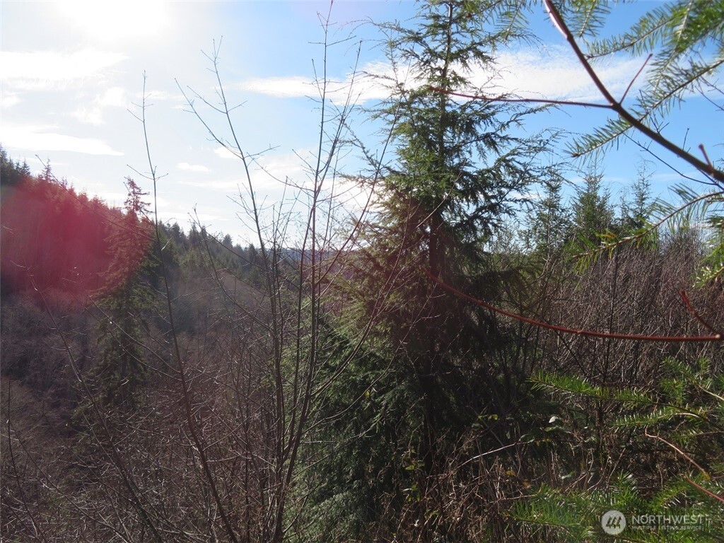 1478 Xxx E Hoquiam Road Property Photo 24
