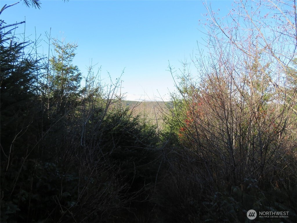 1478 Xxx E Hoquiam Road Property Photo 25