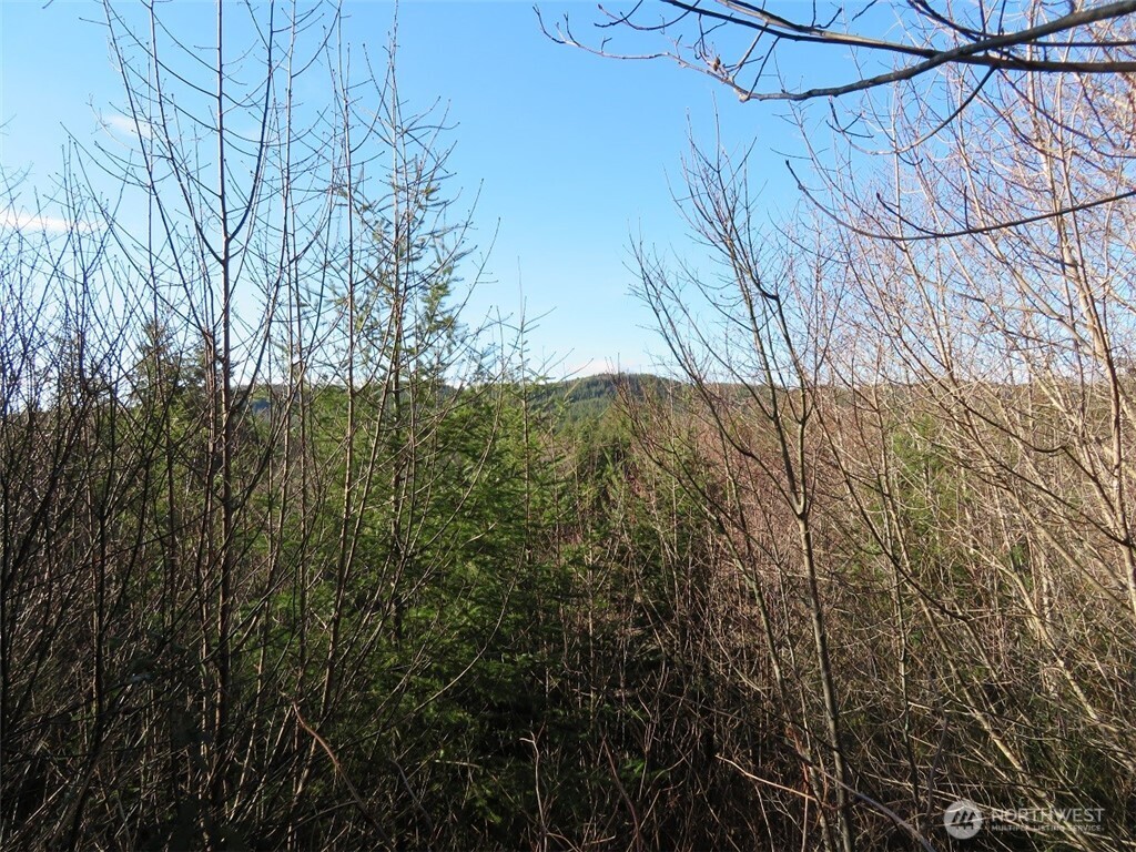 1478 Xxx E Hoquiam Road Property Photo 27