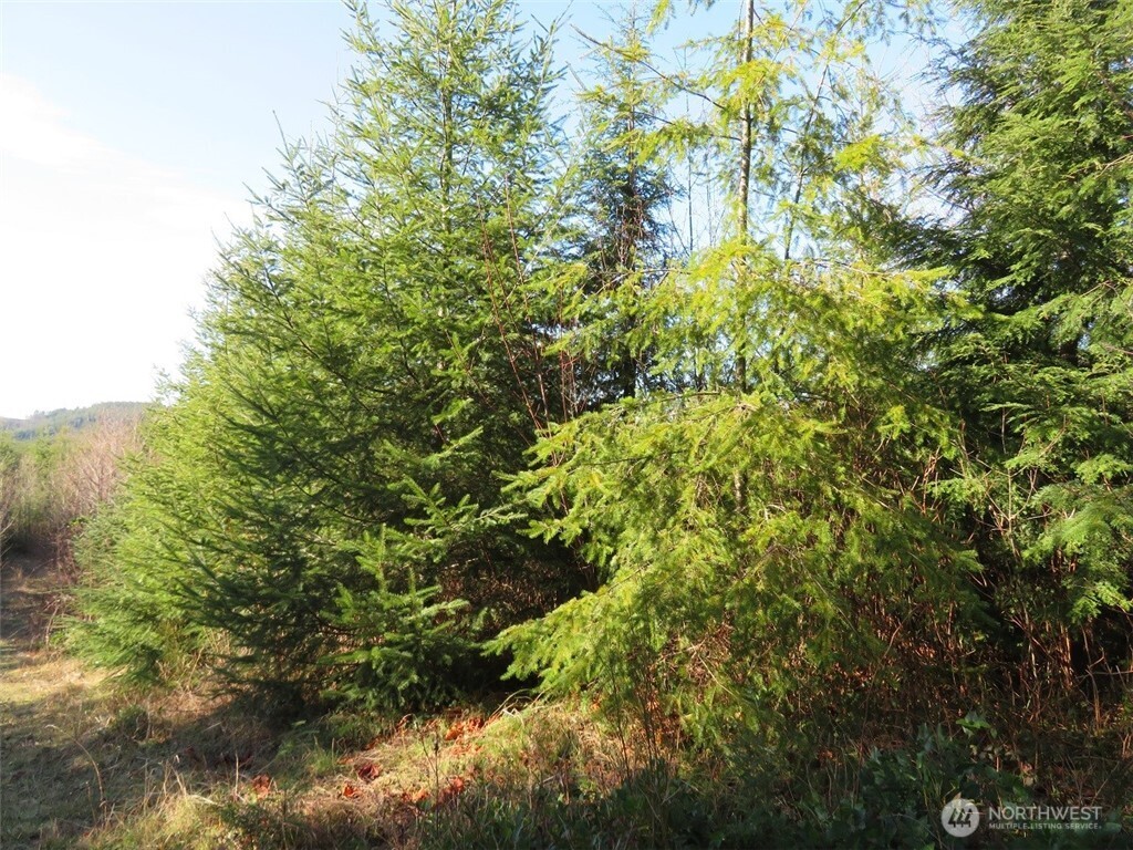 1478 Xxx E Hoquiam Road Property Photo 28
