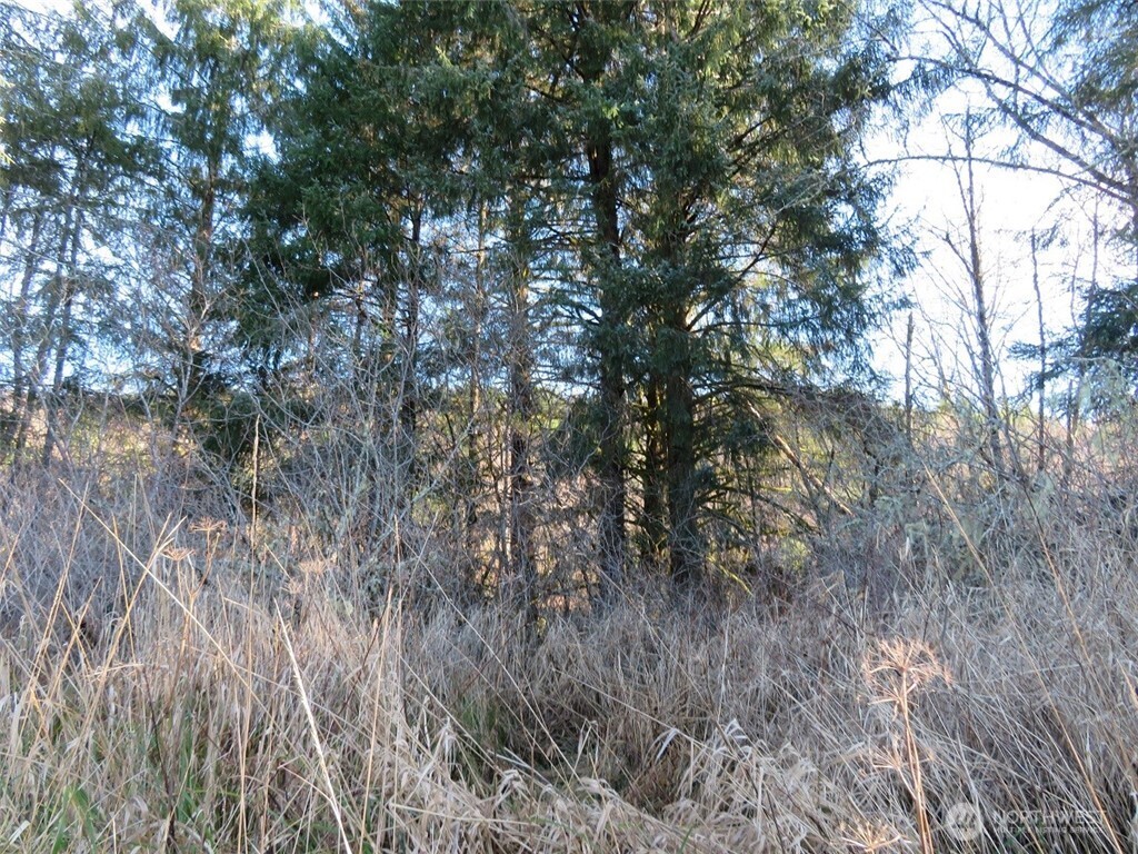 1478 Xxx E Hoquiam Road Property Photo 30