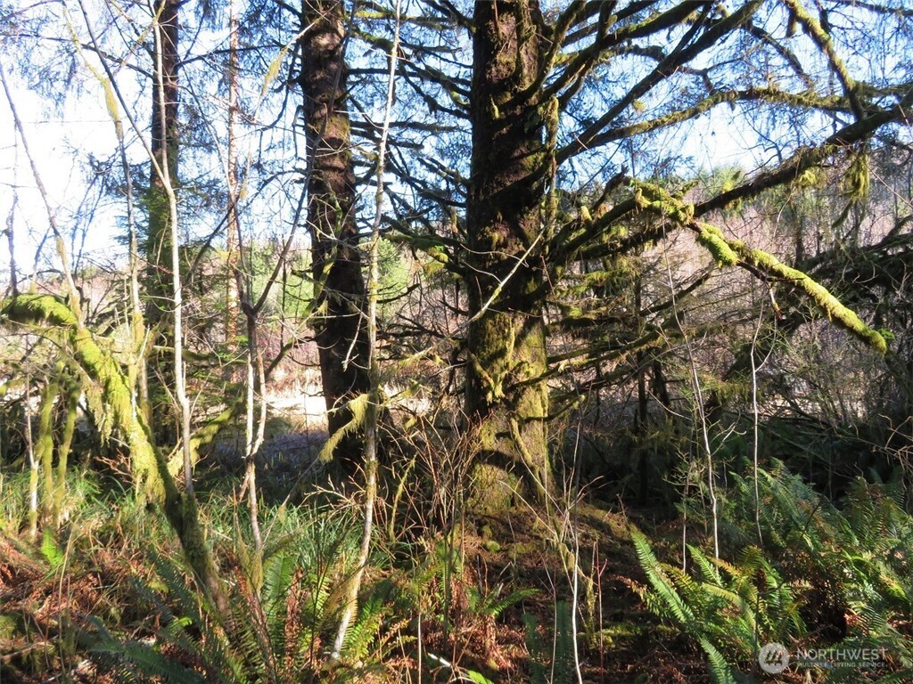 1478 Xxx E Hoquiam Road Property Photo 31