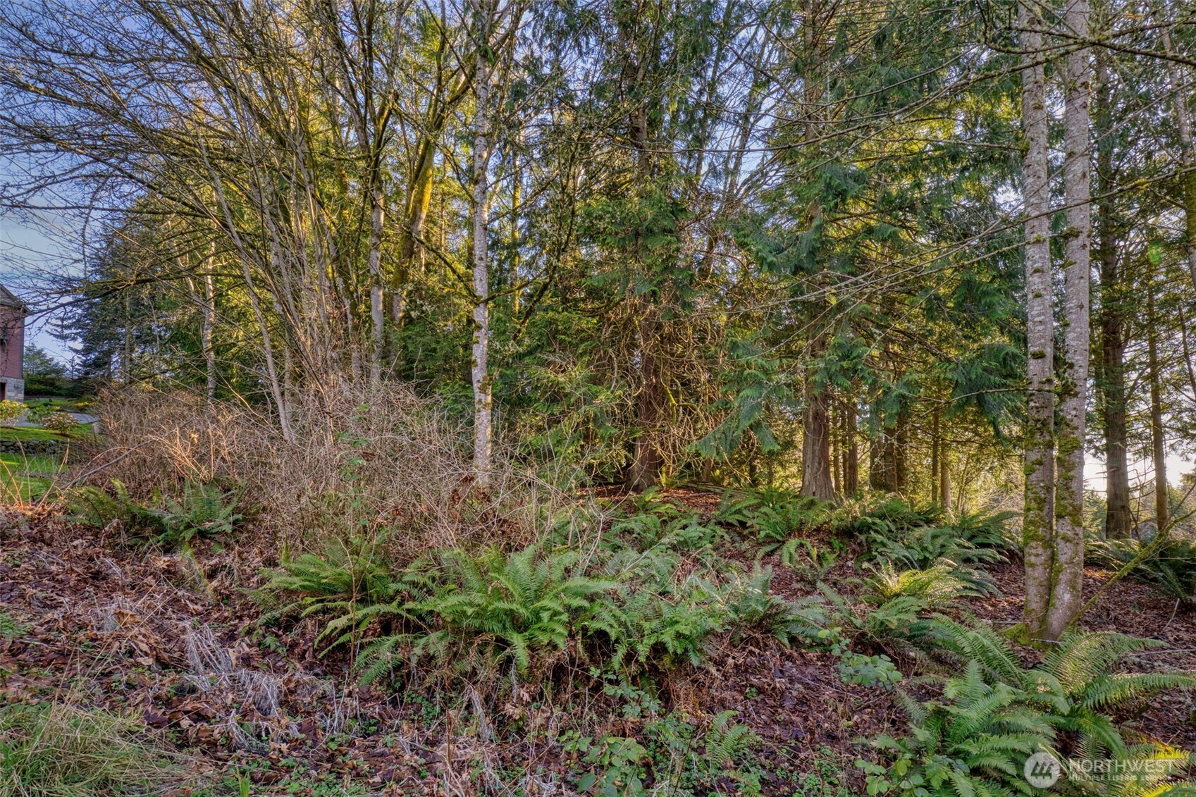 34638 Bridge View Place Property Photo 3
