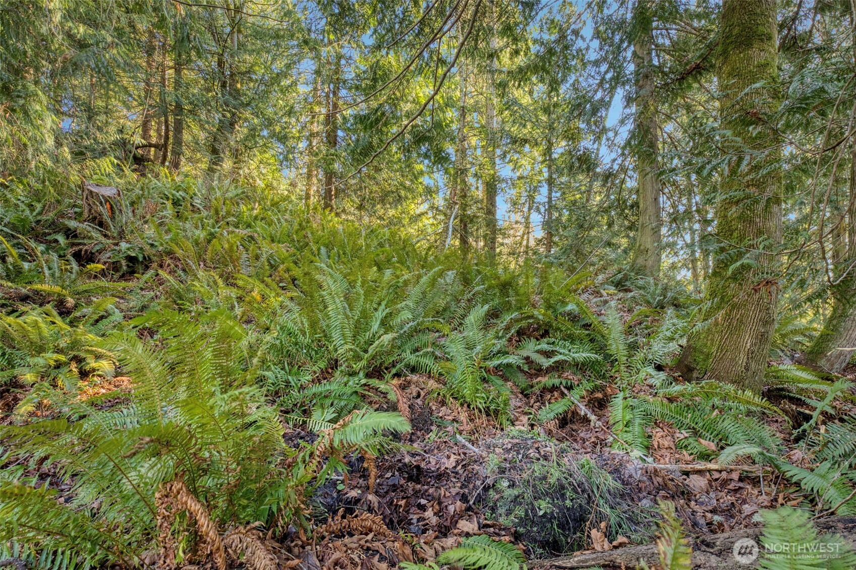 34638 Bridge View Place Property Photo 4