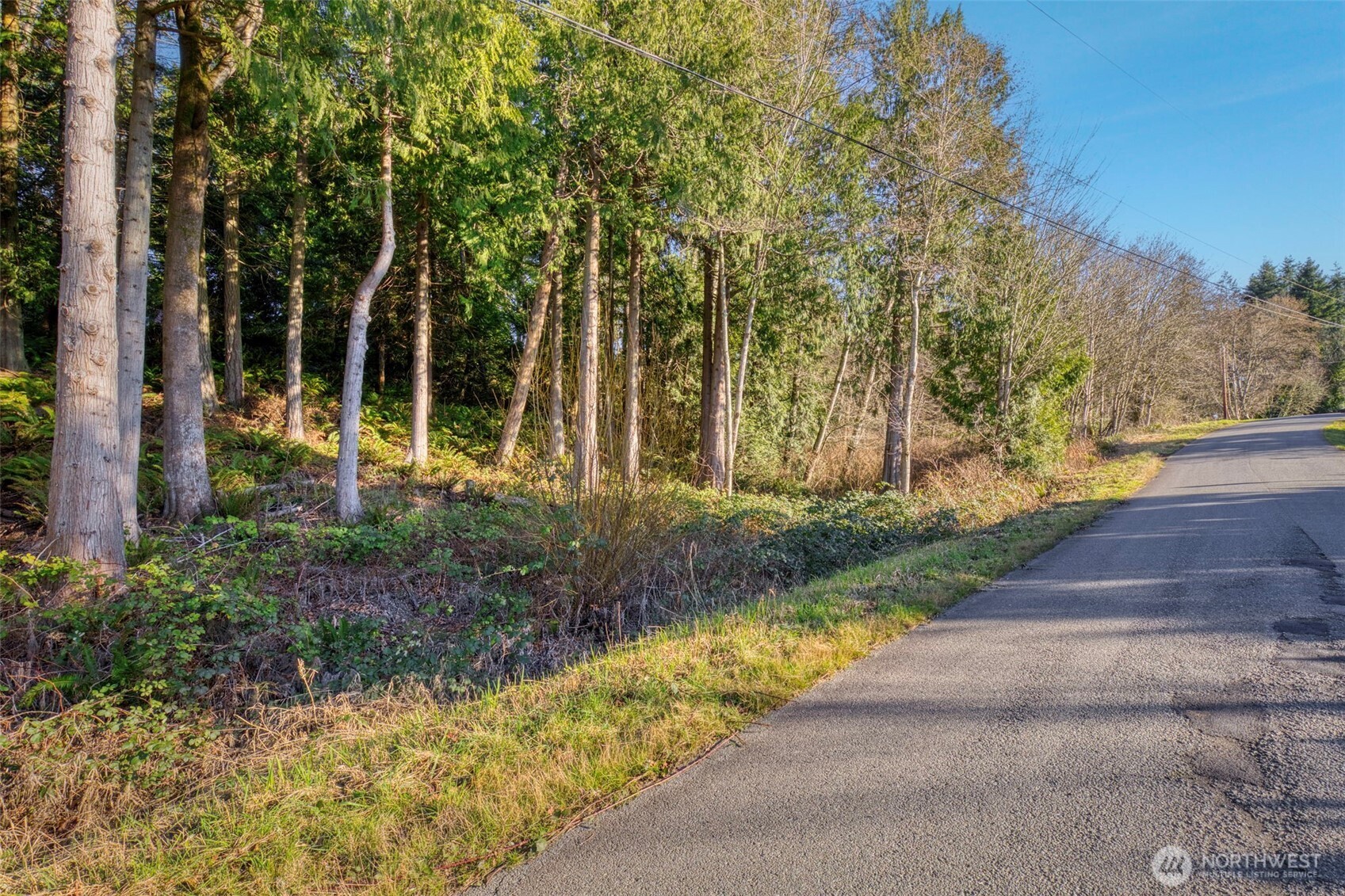 34638 Bridge View Place Property Photo 6