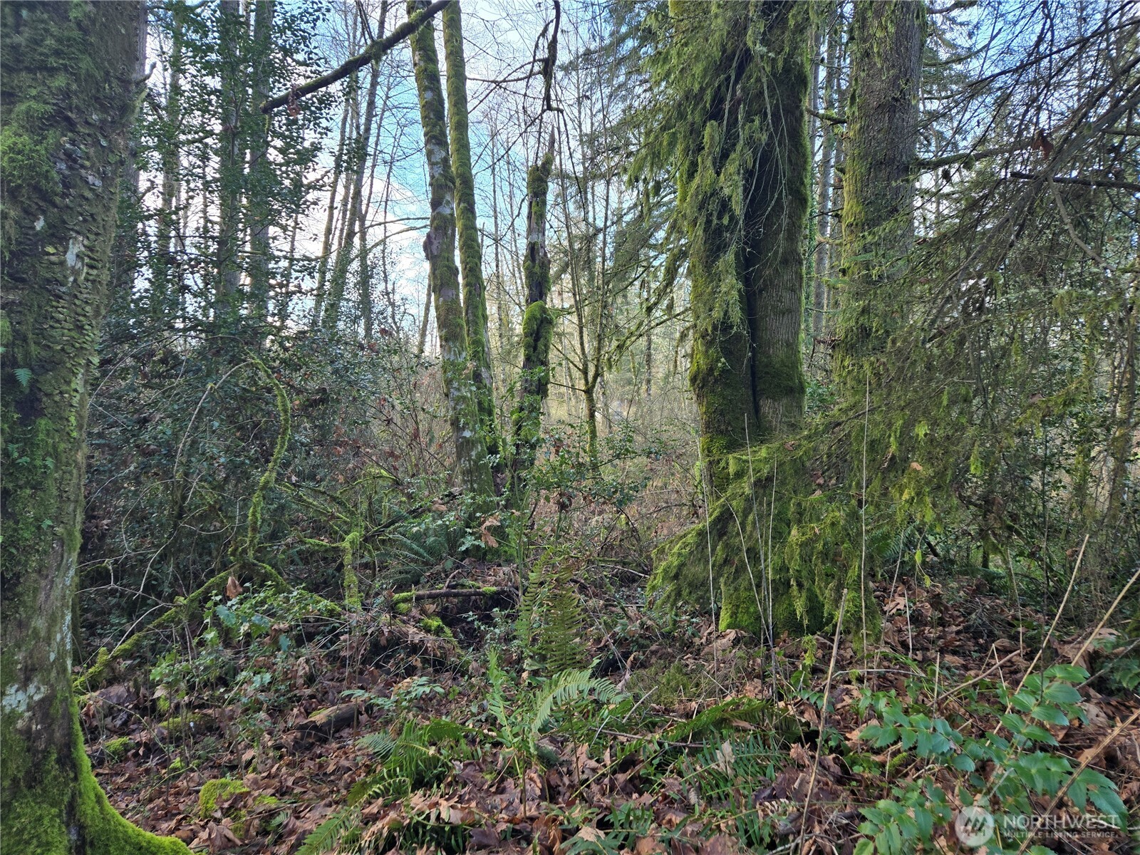 233 Xx State Highway 3 Property Photo 2