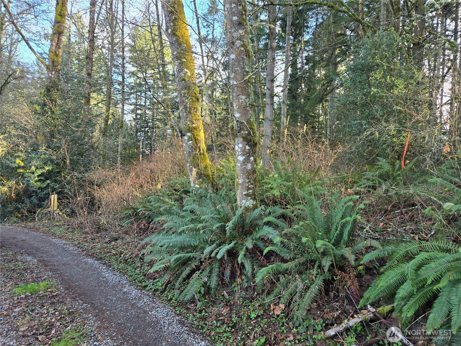 233 Xx State Highway 3 Property Photo 4