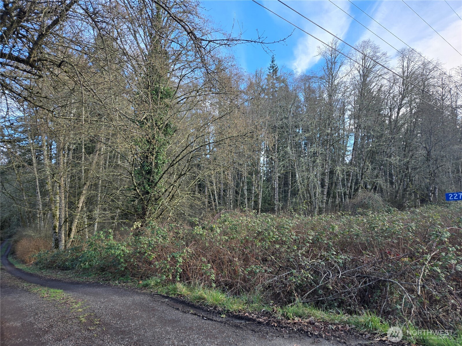 233 Xx State Highway 3 Property Photo 9