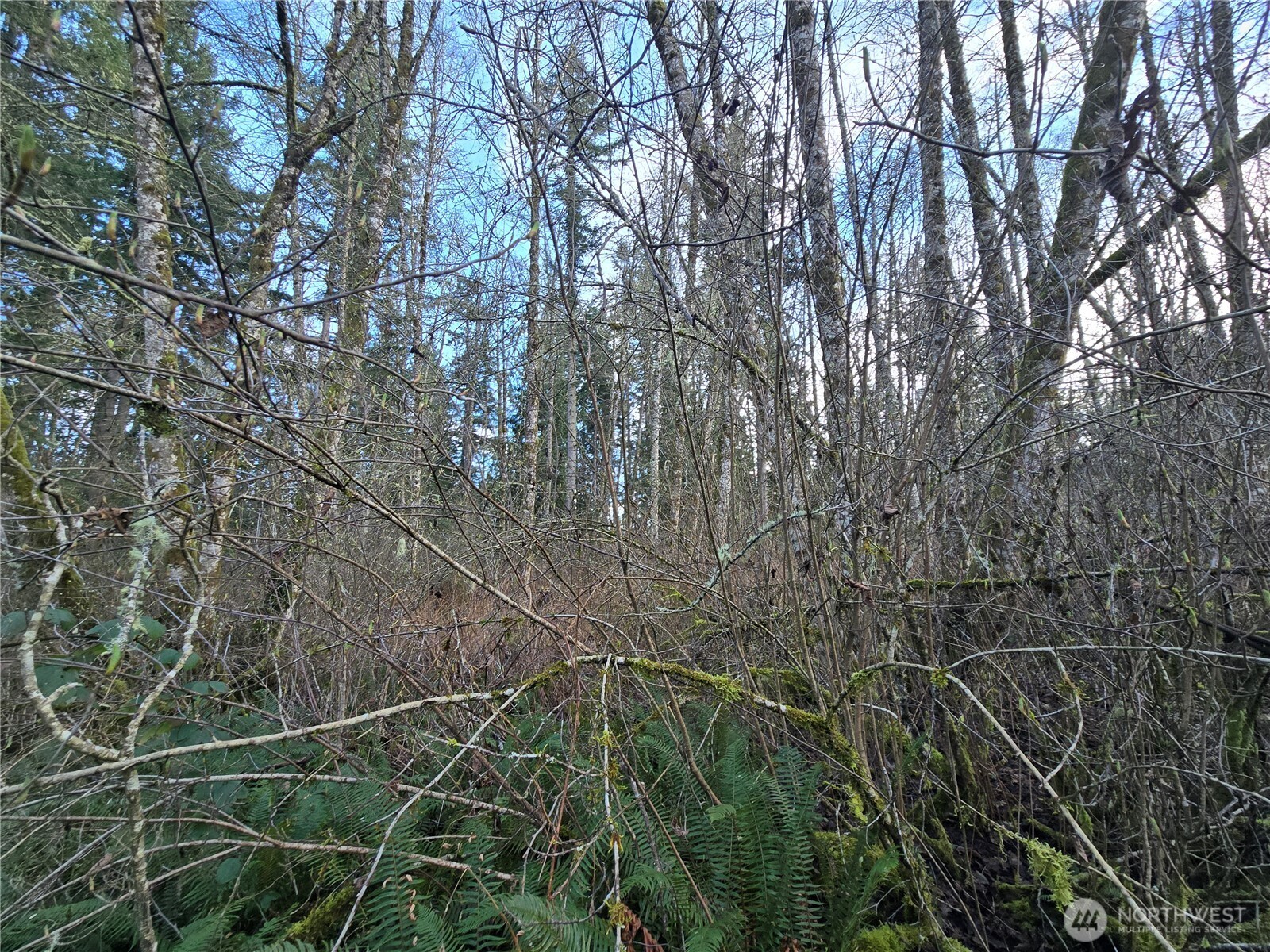 233 Xx State Highway 3 Property Photo 10