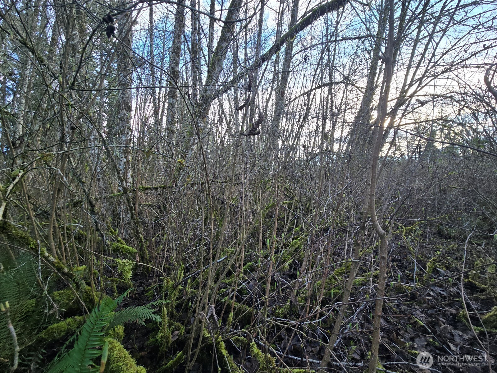 233 Xx State Highway 3 Property Photo 11