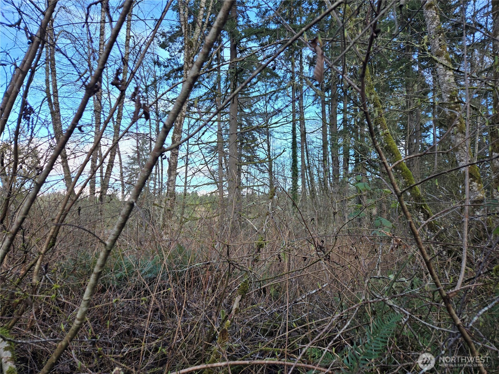 233 Xx State Highway 3 Property Photo 12