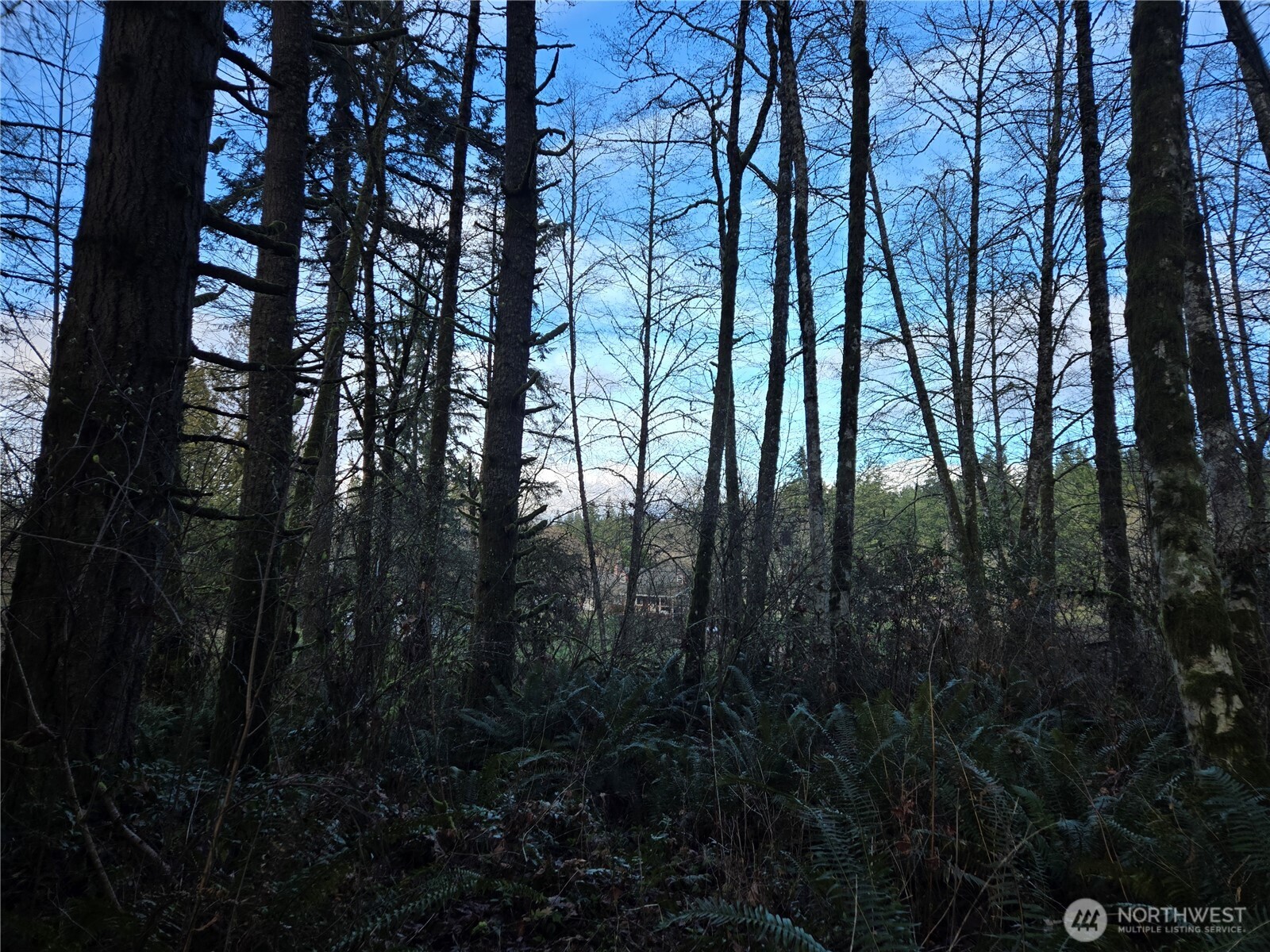 233 Xx State Highway 3 Property Photo 14