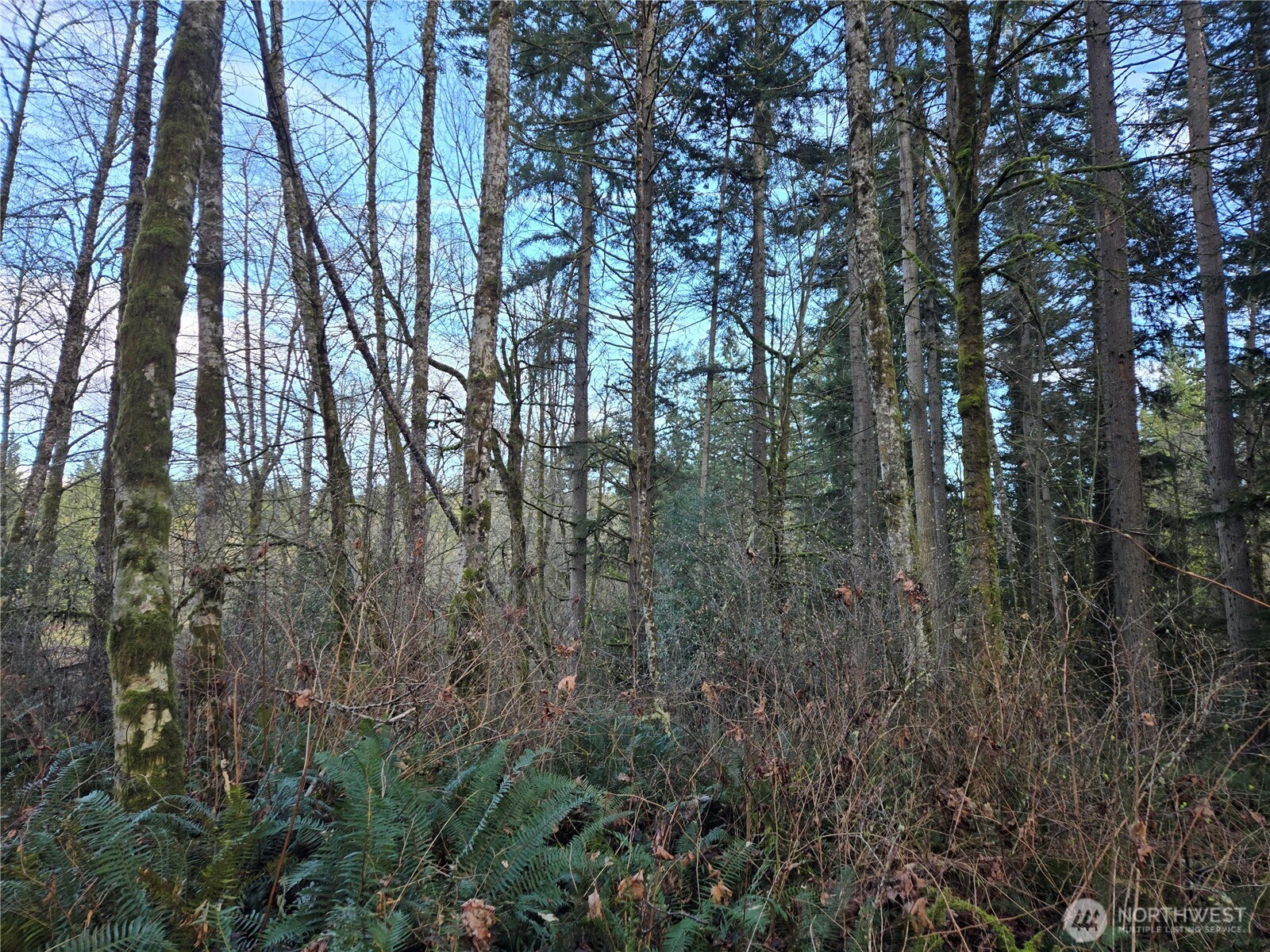 233 Xx State Highway 3 Property Photo 15