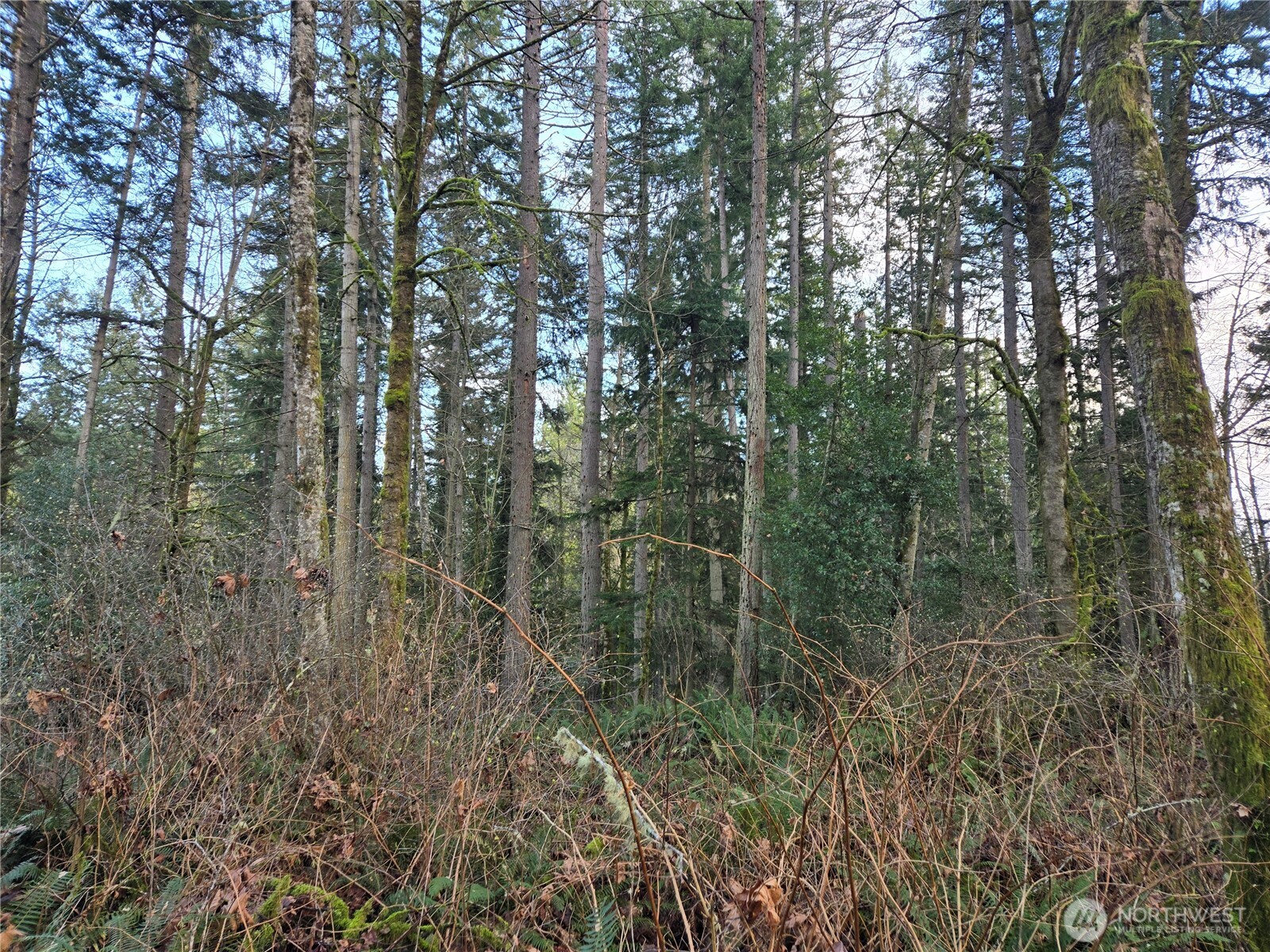 233 Xx State Highway 3 Property Photo 16