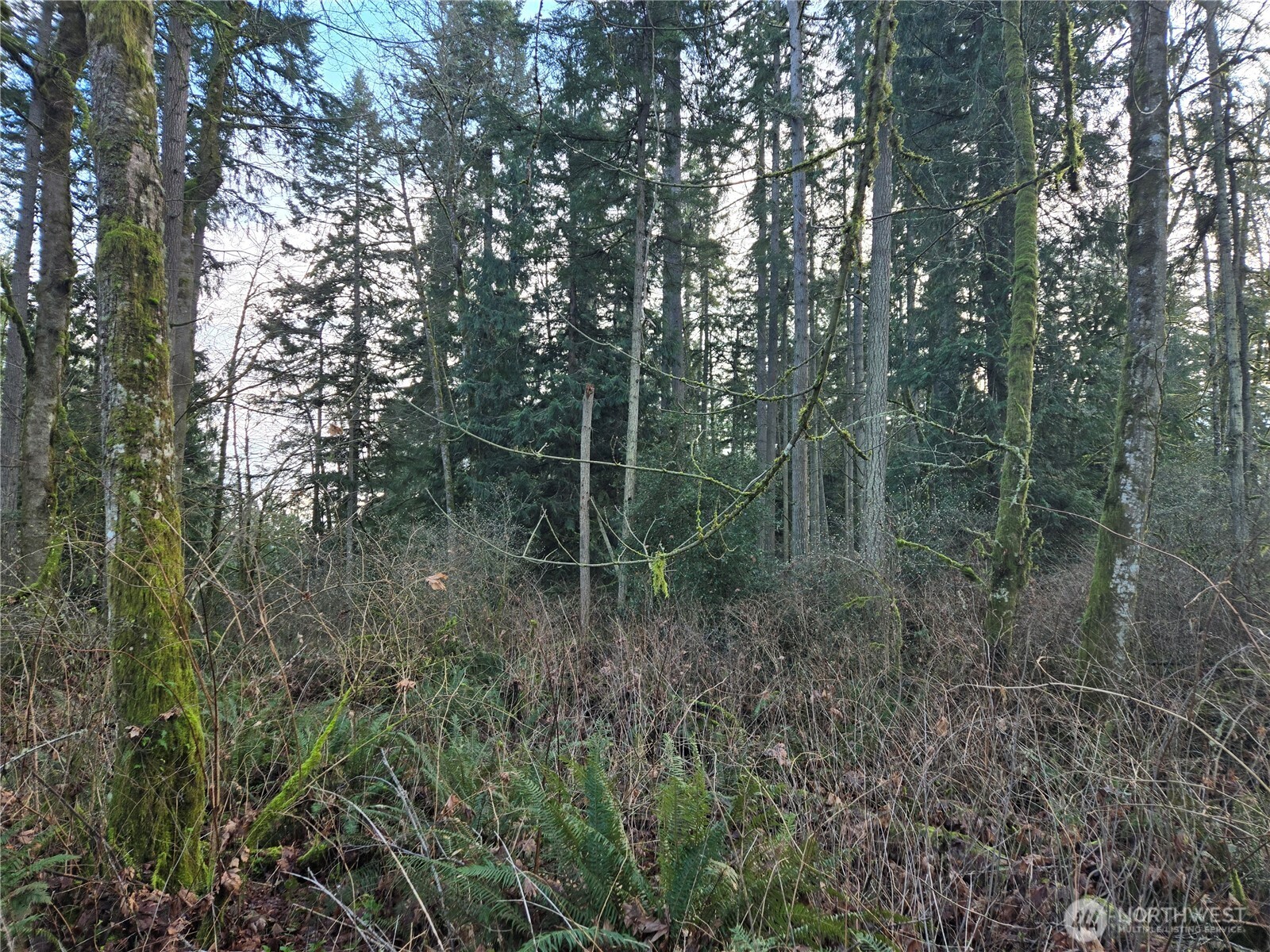 233 Xx State Highway 3 Property Photo 17