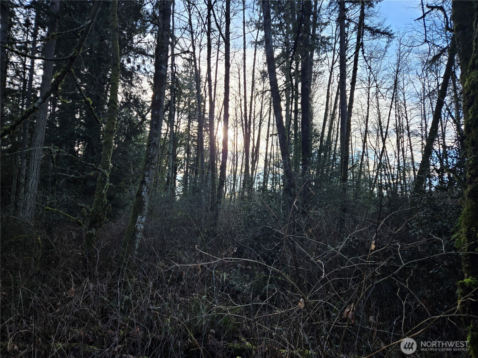 233 Xx State Highway 3 Property Photo 18