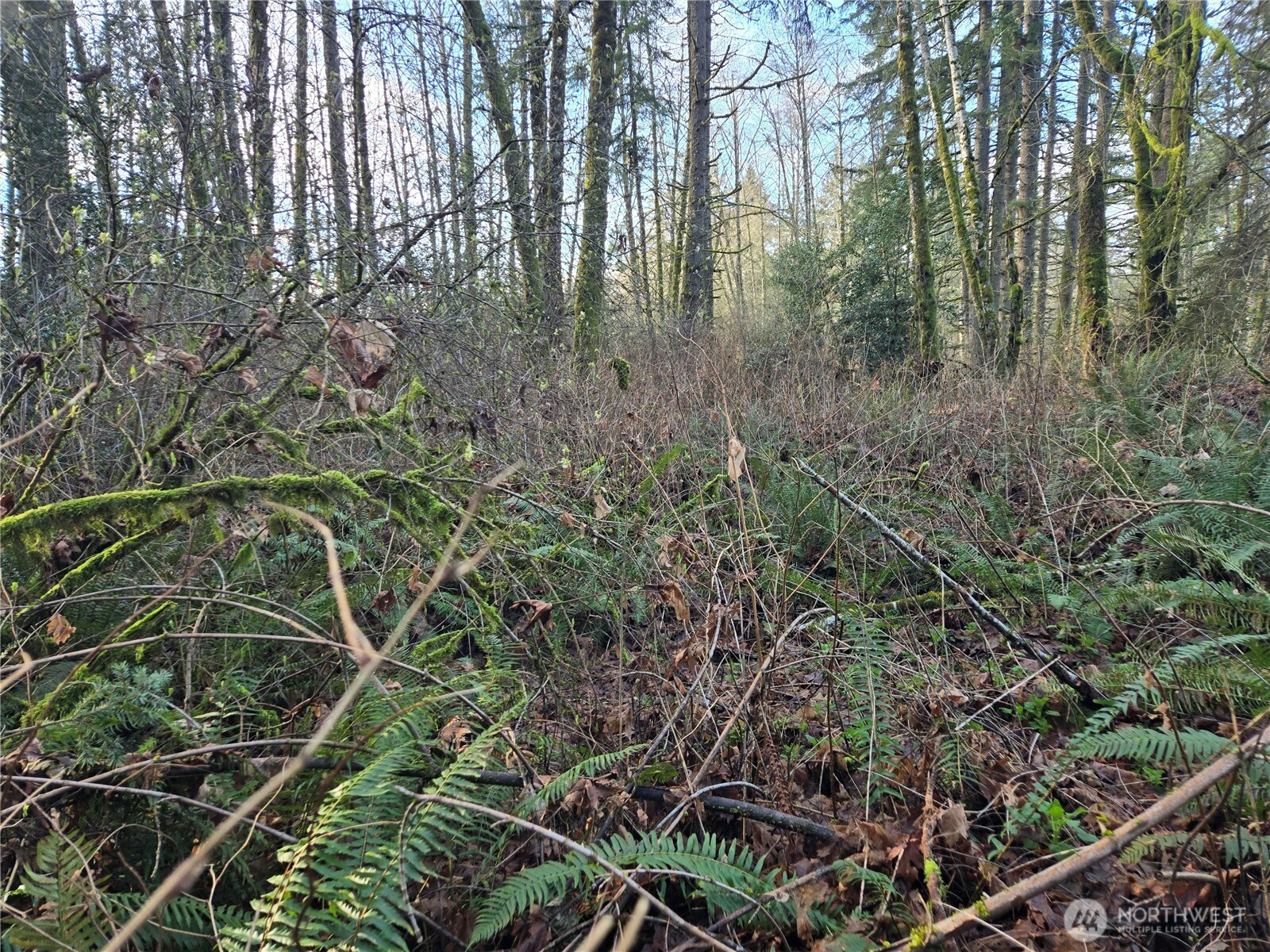 233 Xx State Highway 3 Property Photo 20