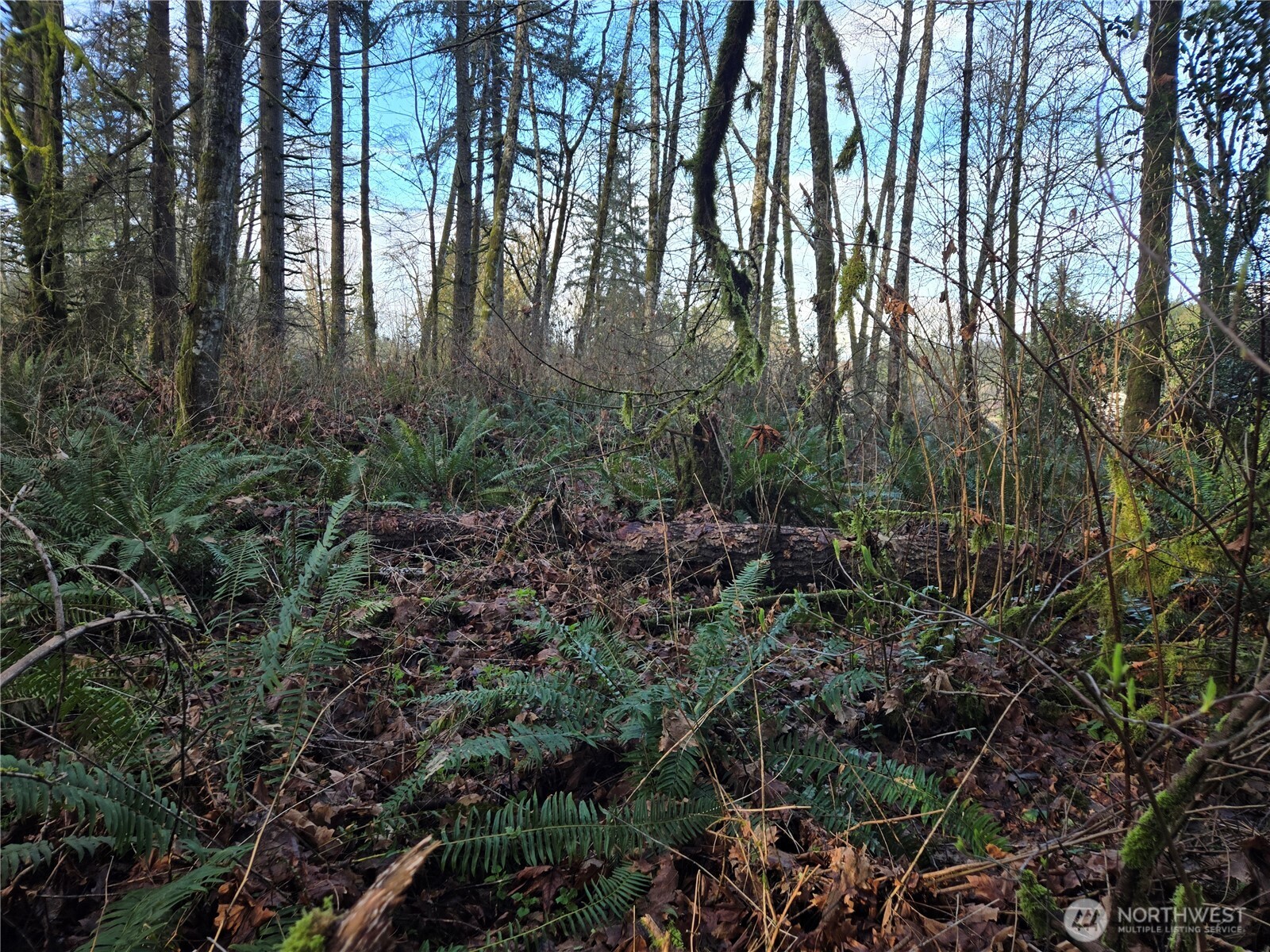 233 Xx State Highway 3 Property Photo 22