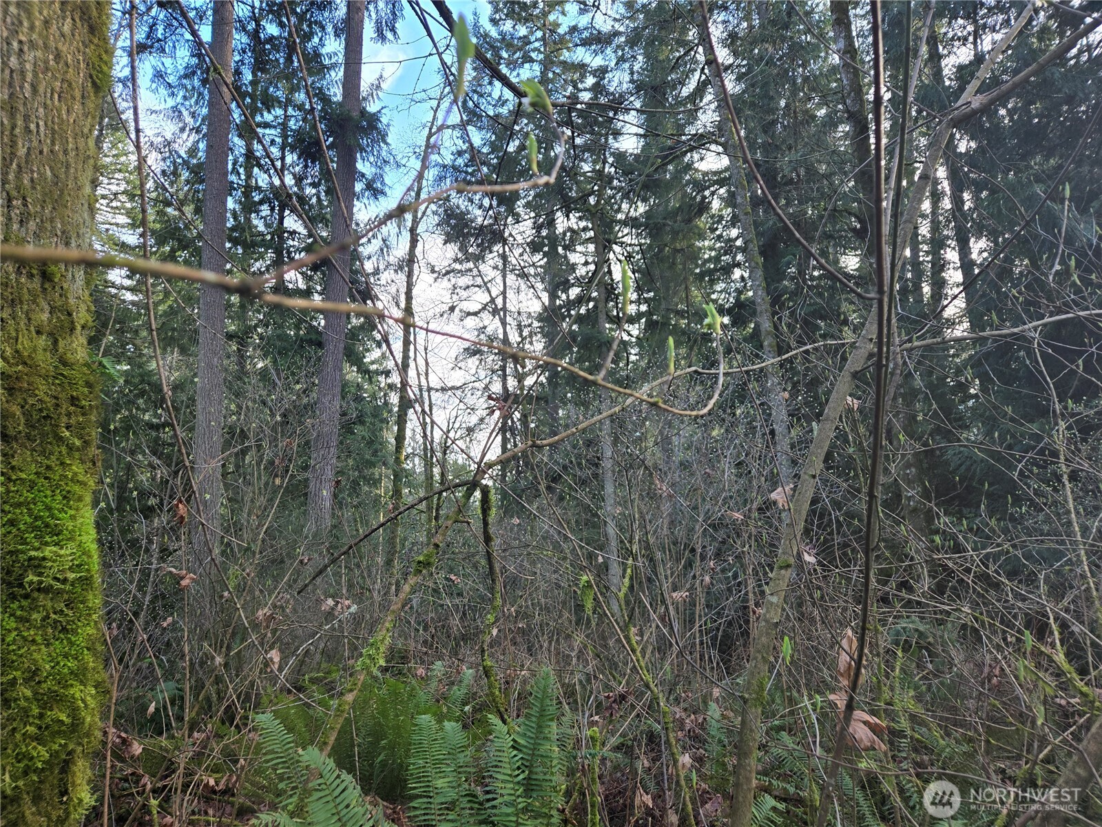 233 Xx State Highway 3 Property Photo 24