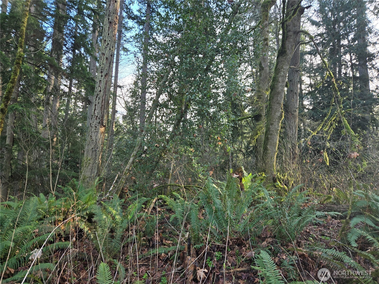233 Xx State Highway 3 Property Photo 26