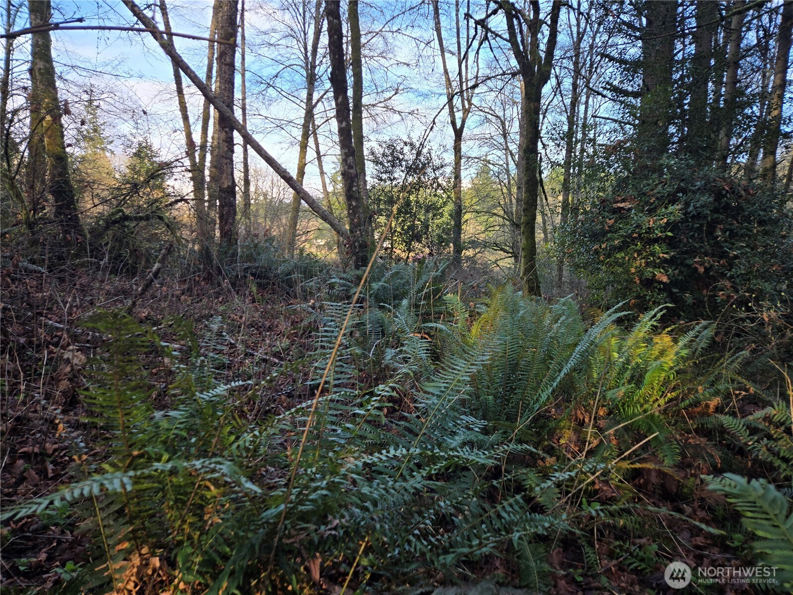 233 Xx State Highway 3 Property Photo 28