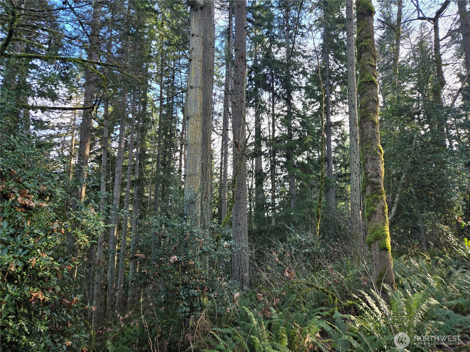 233 Xx State Highway 3 Property Photo 29