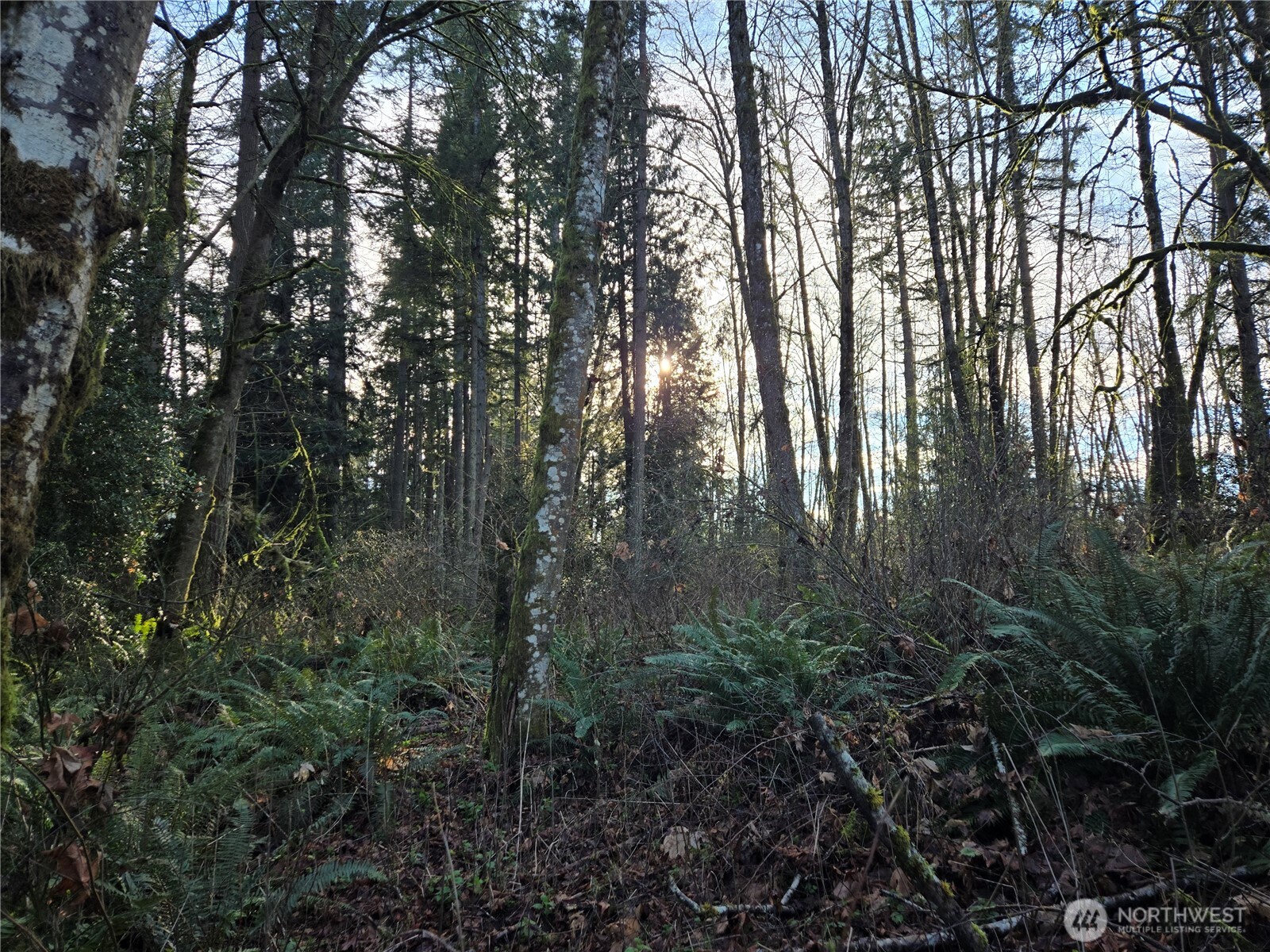 233 Xx State Highway 3 Property Photo 30