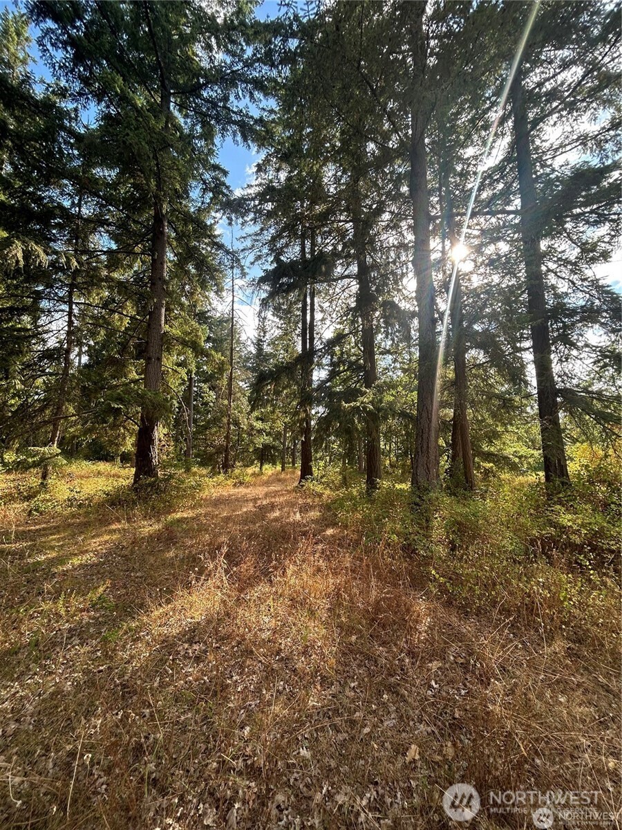 17837 Sargent Road Property Photo 3