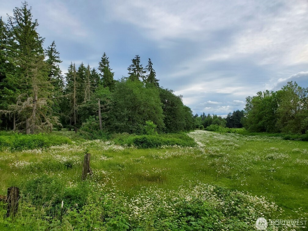 17837 Sargent Road Property Photo 4