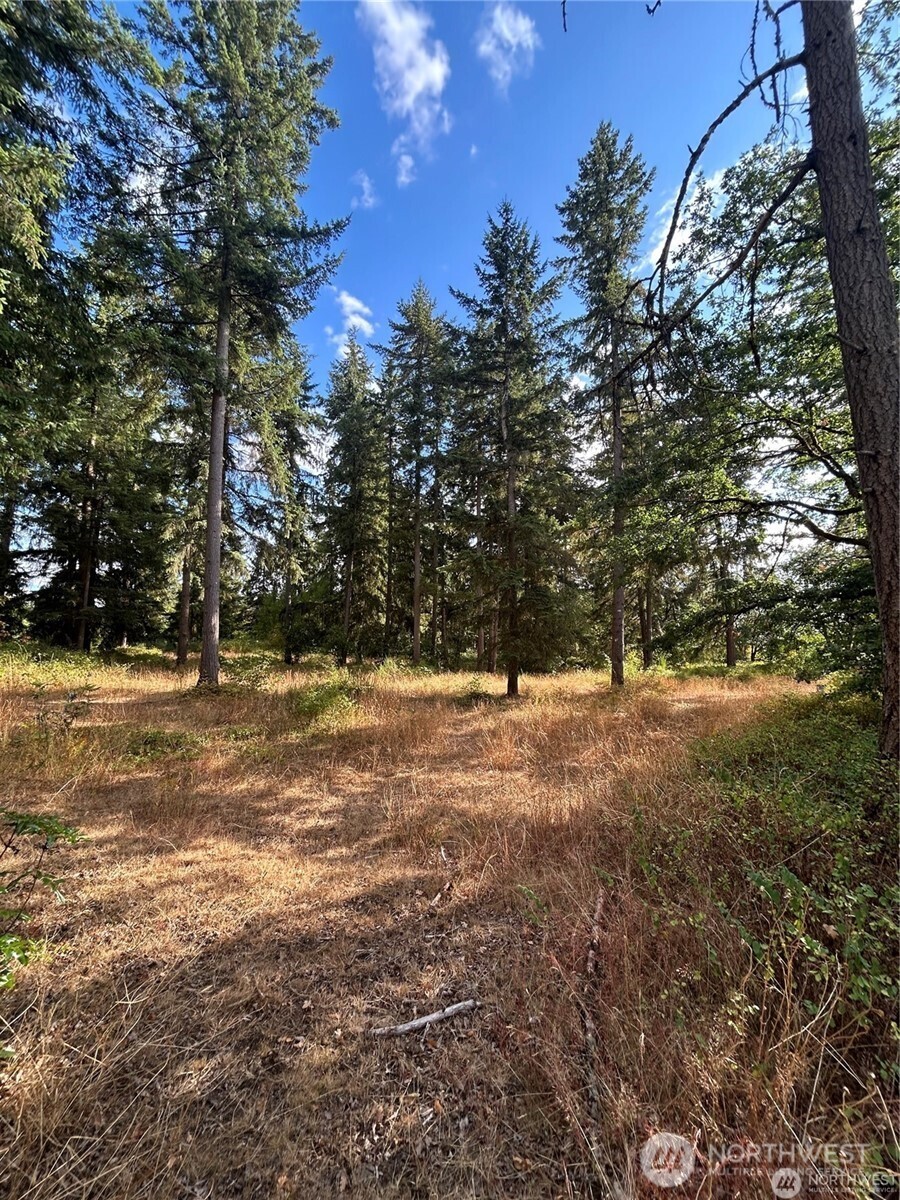 17837 Sargent Road Property Photo 12