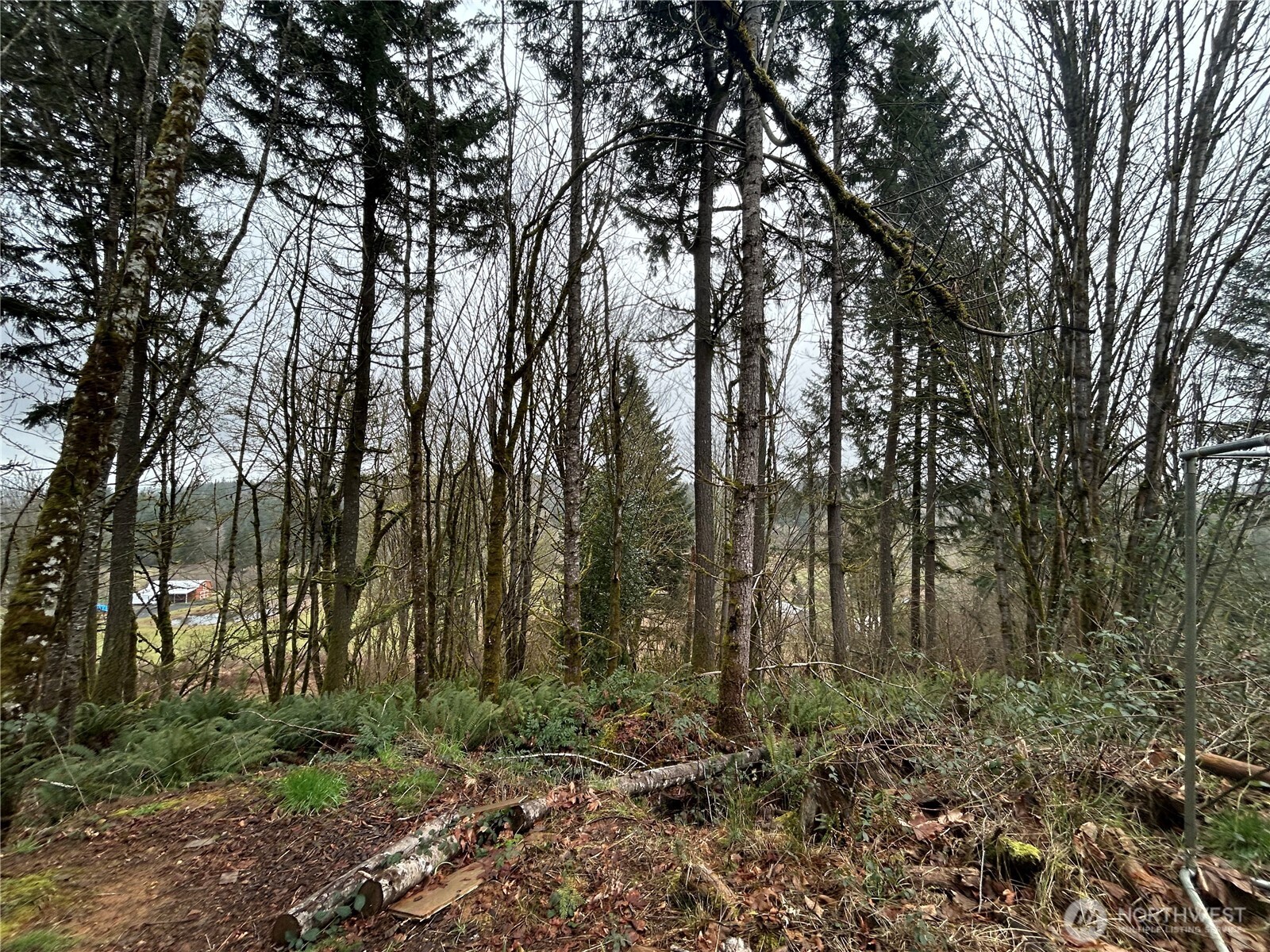 514 Berry Rd Property Photo 4