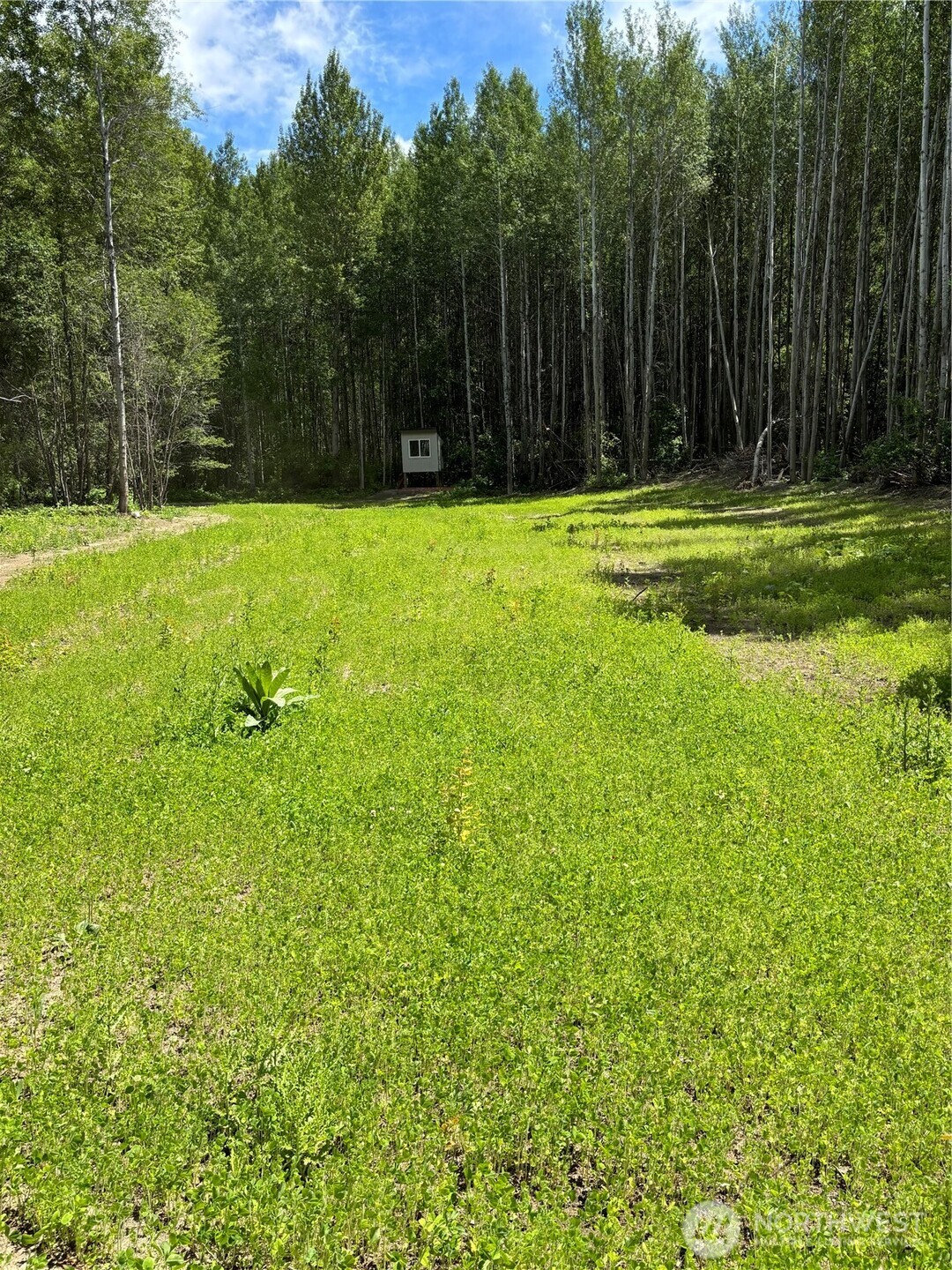 0 Entiat River Rd Property Photo 2
