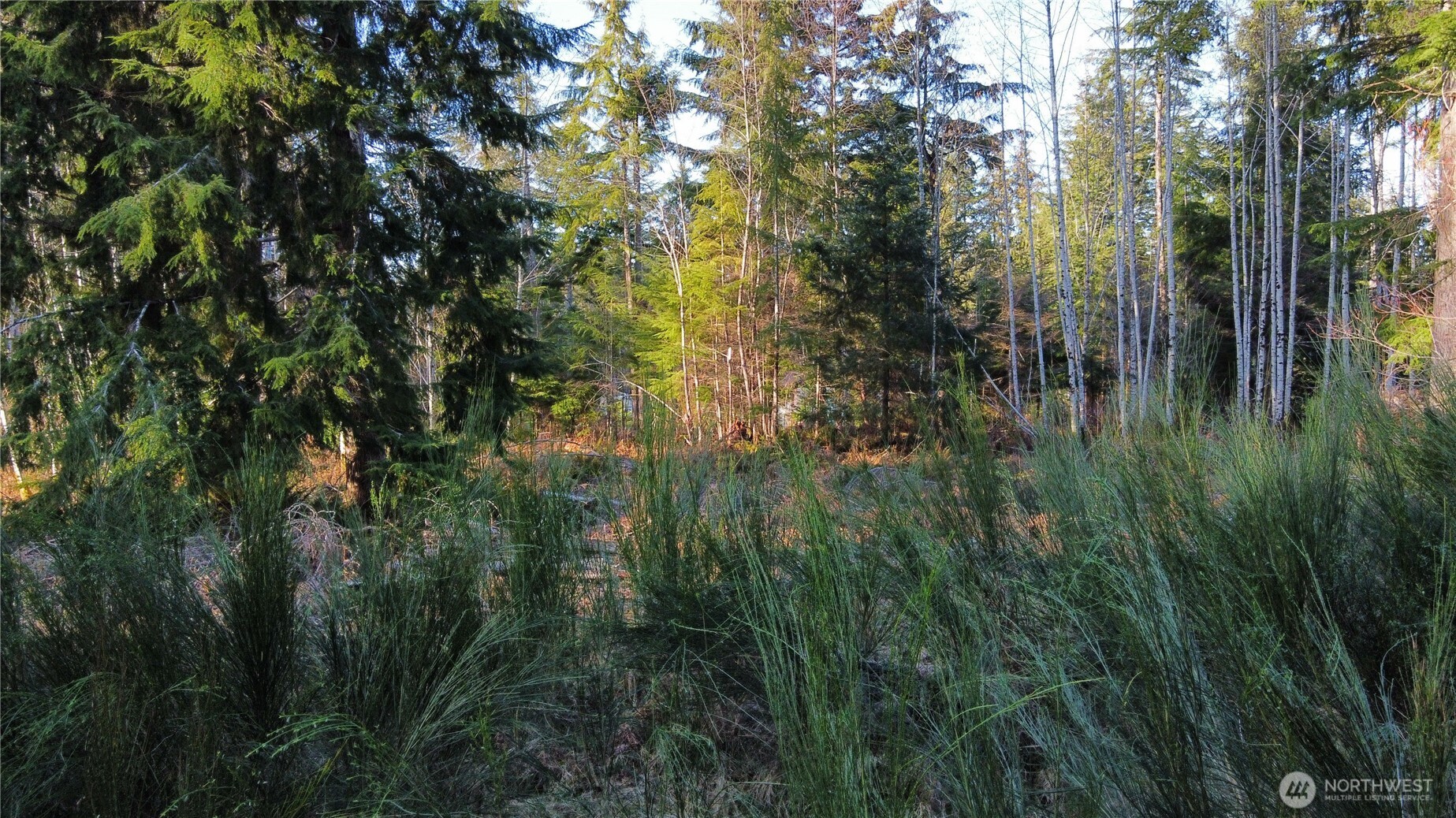 579 Thomas Street Property Photo 9