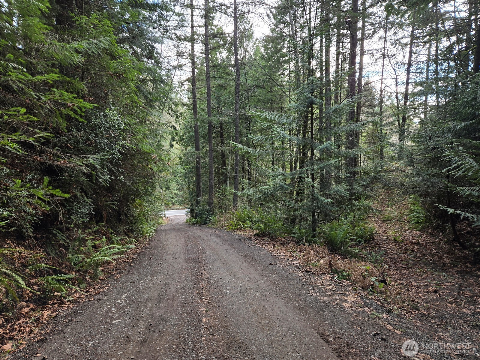 216 Xx Bond Road Property Photo 19
