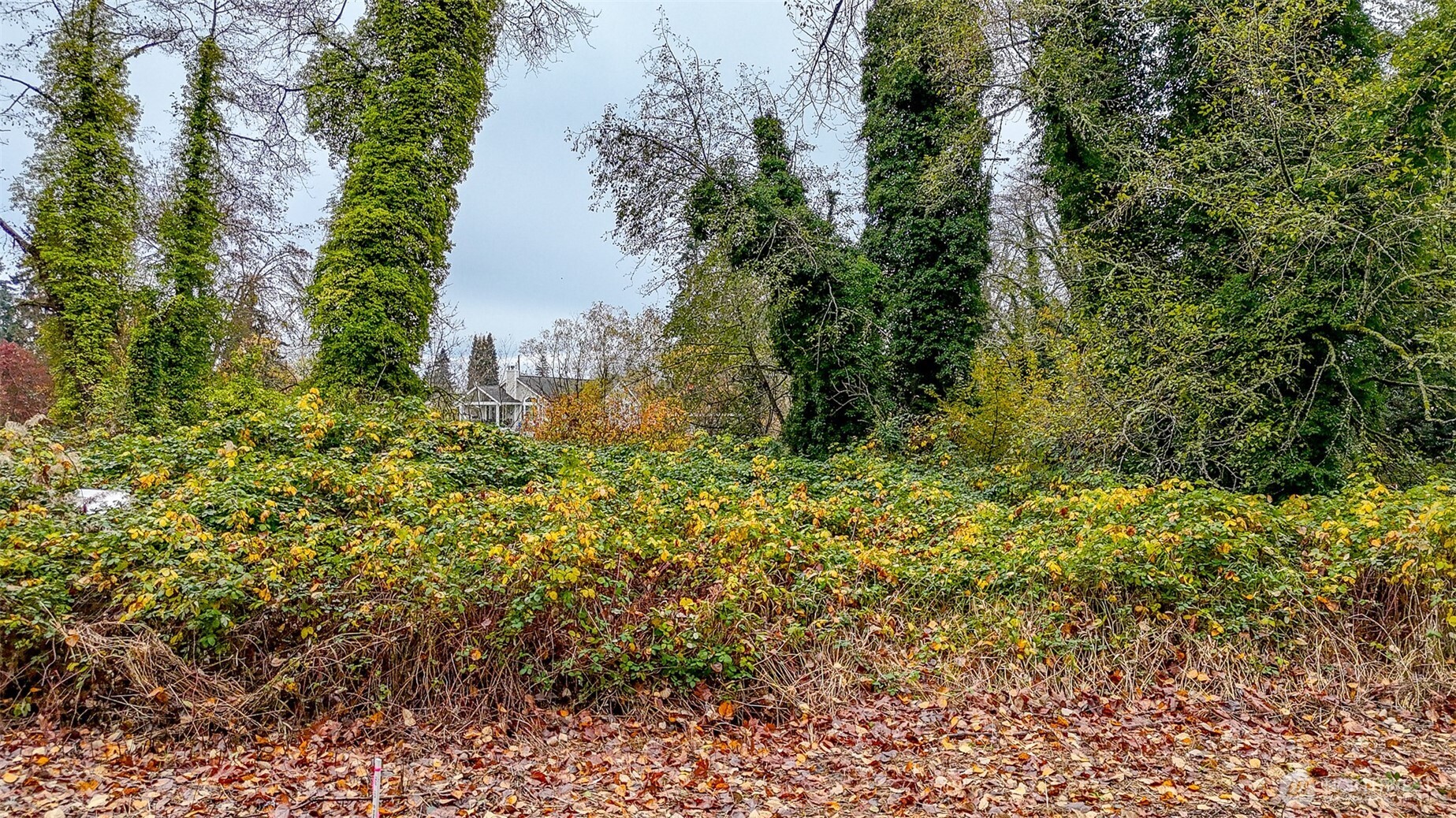 0 Lot150 104th Place Property Photo 5