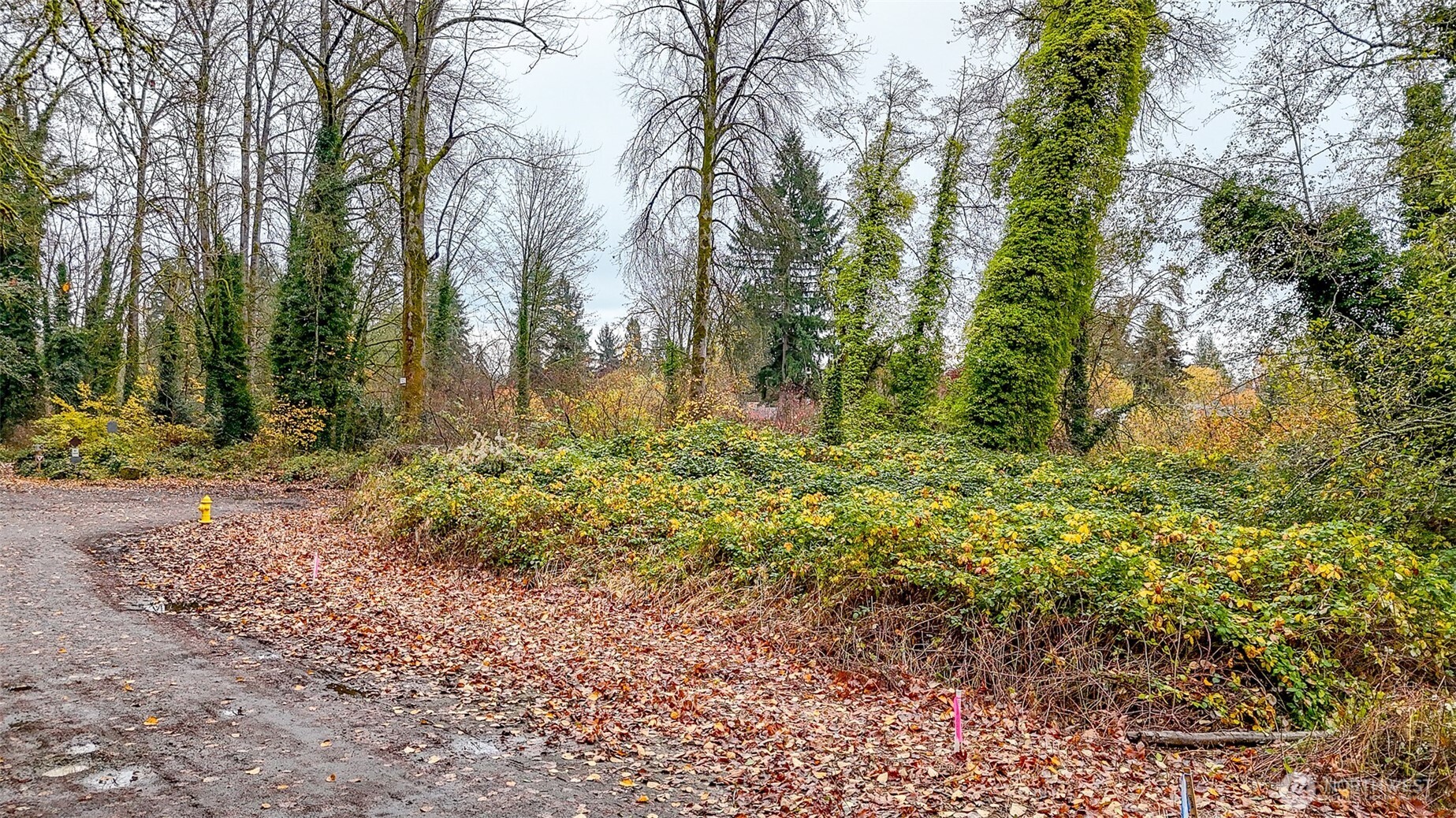 0 Lot150 104th Place Property Photo 6