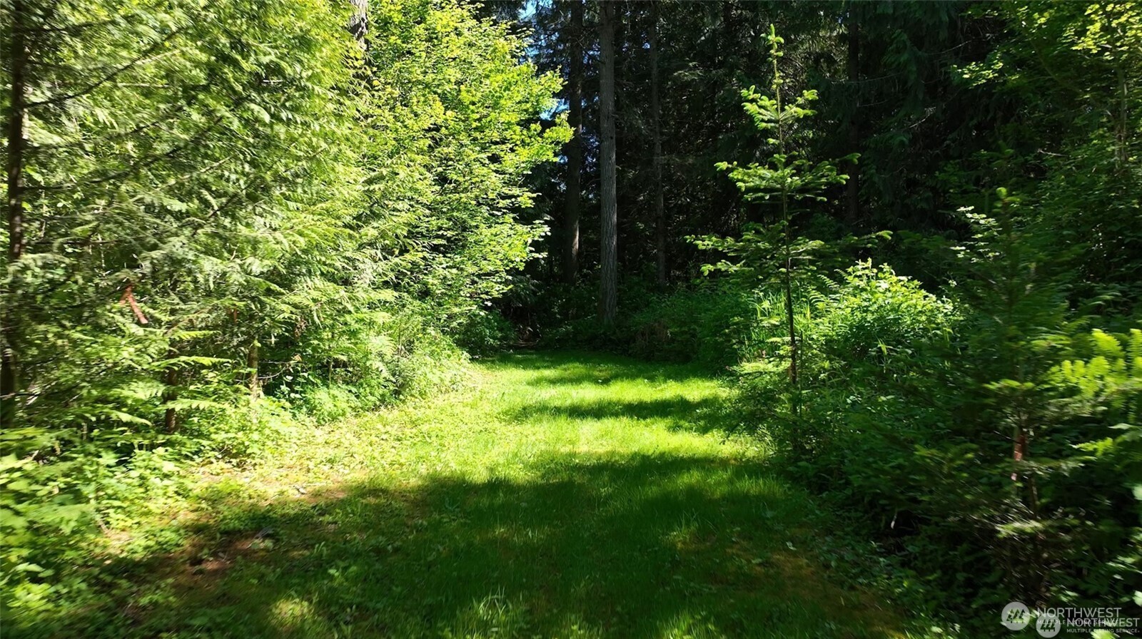 209 Alpha Way Property Photo 35