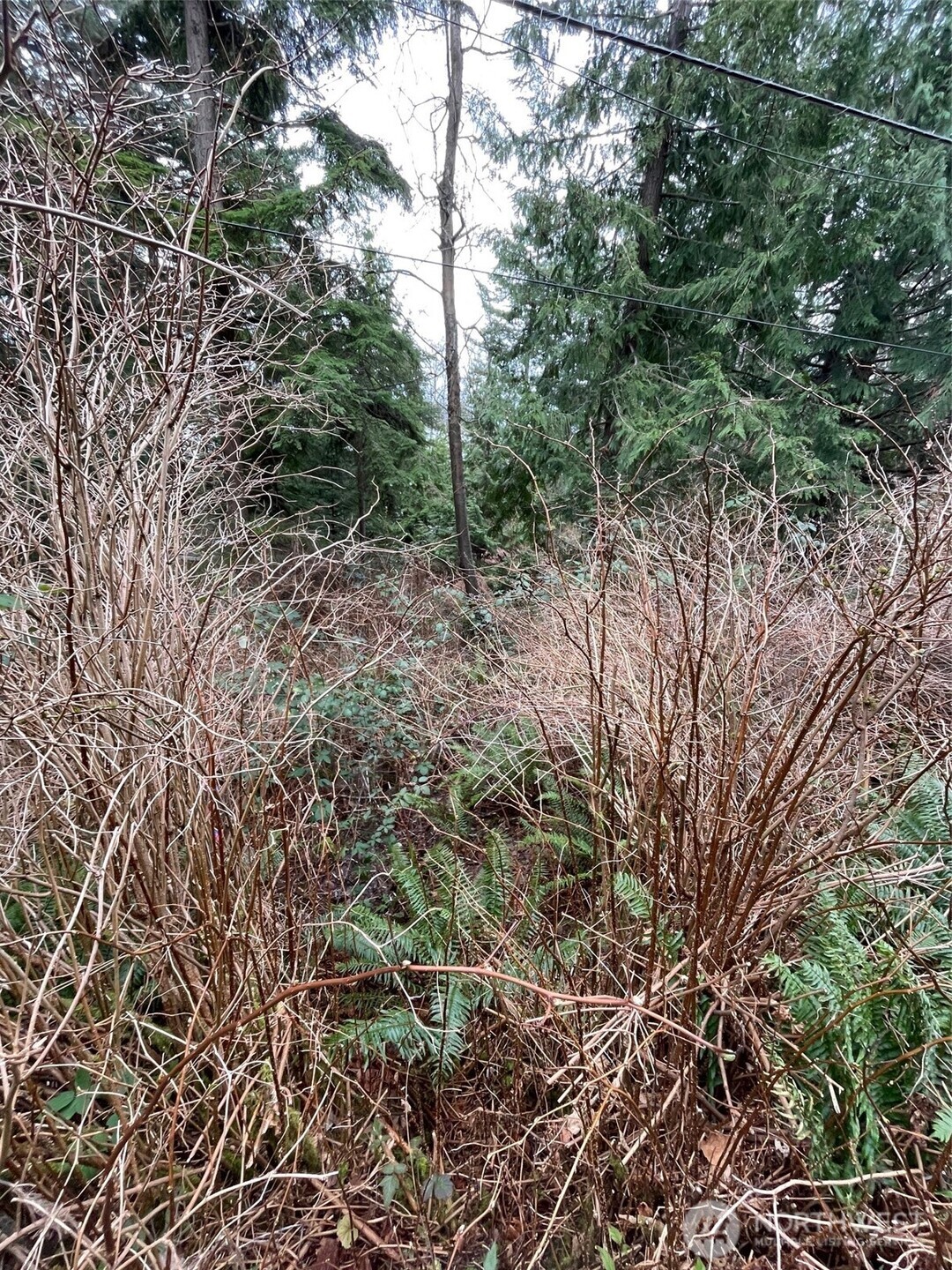 1268 Island Drive Property Photo 2