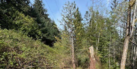 1268 Island Drive Property Photo 9