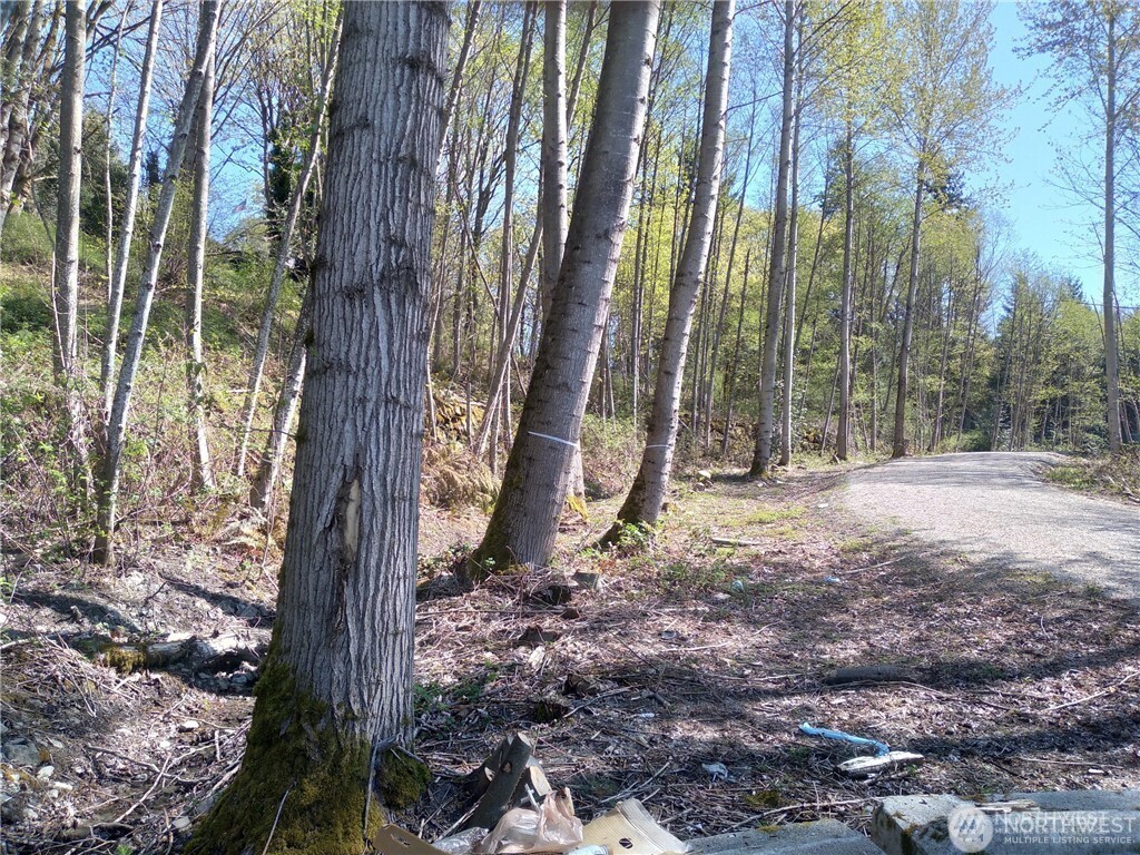 10043 Se Carr Road Property Photo 5
