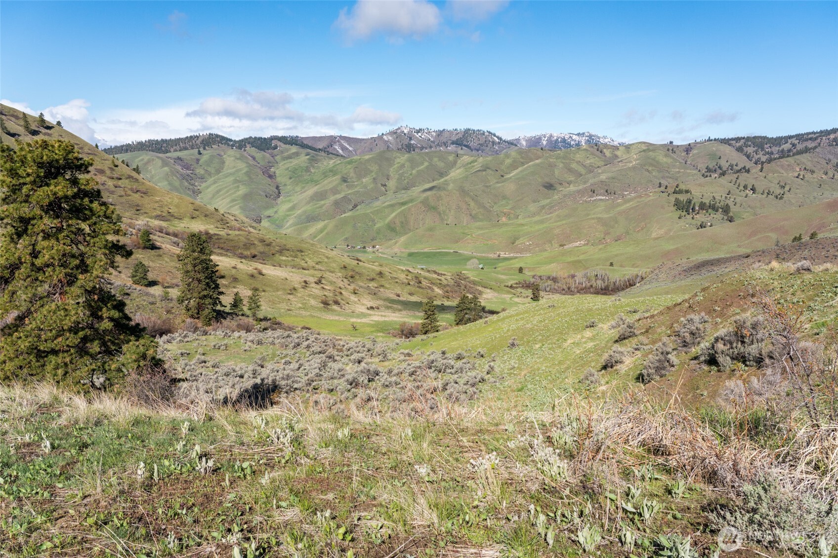 7993 Nahahum Canyon Road Property Photo 4