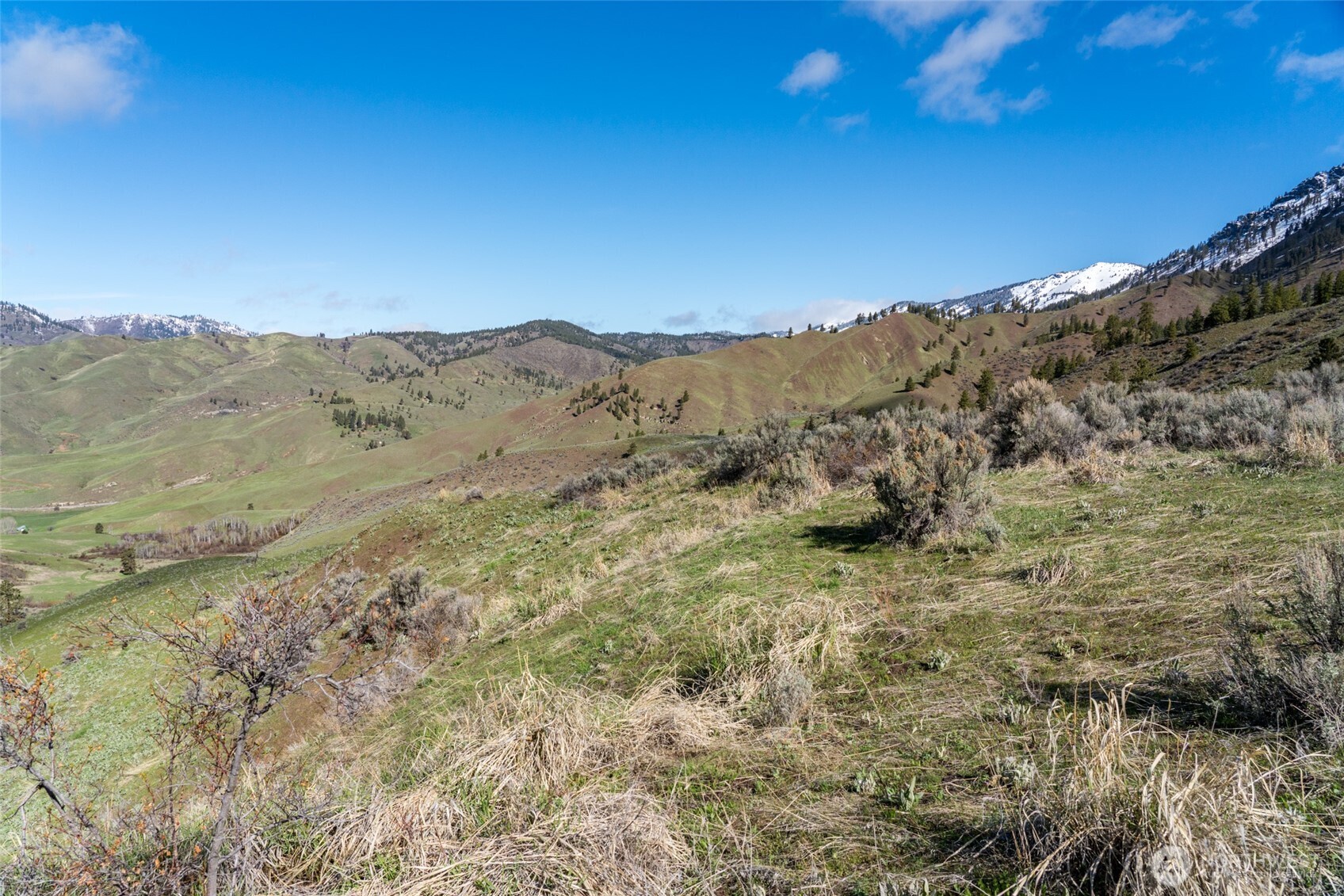 7993 Nahahum Canyon Road Property Photo 6