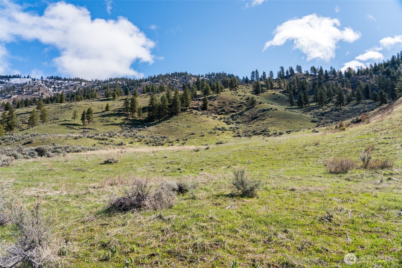 7993 Nahahum Canyon Road Property Photo 10
